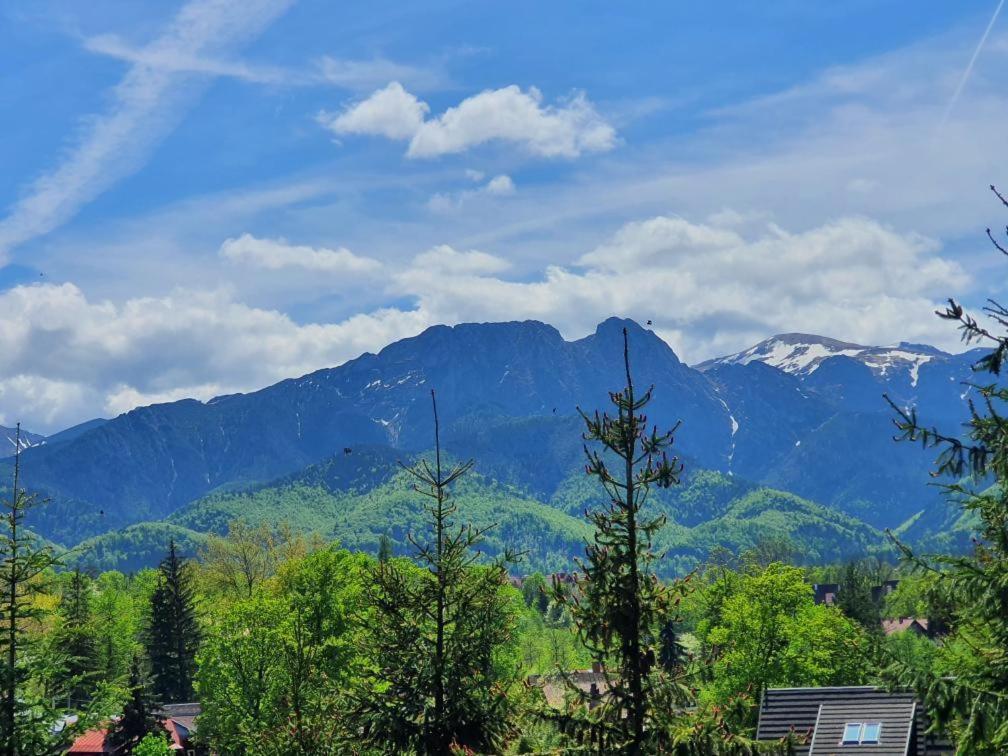 Domki Mroz view 2