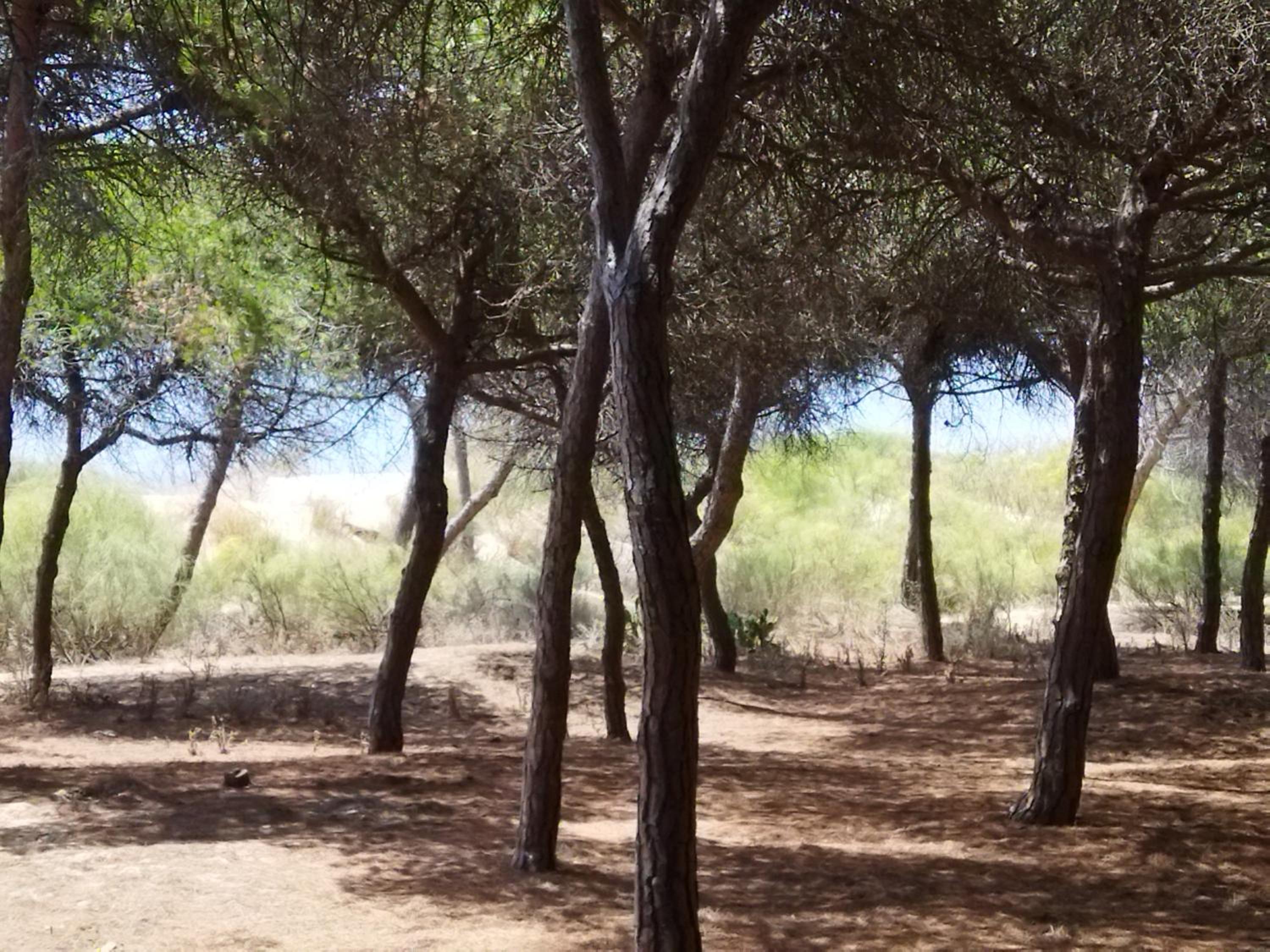 Sol y Mar view 5
