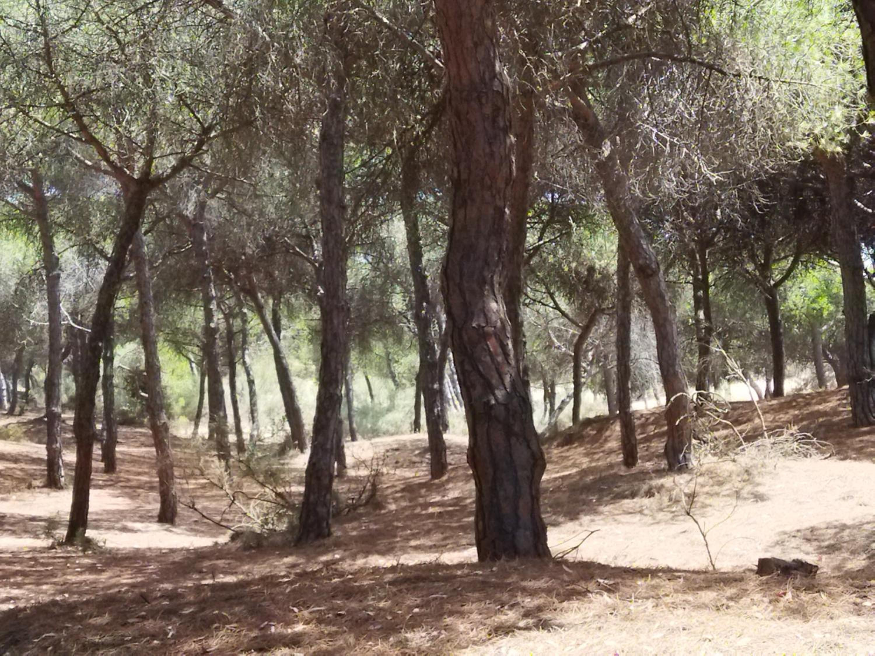 Photo 7