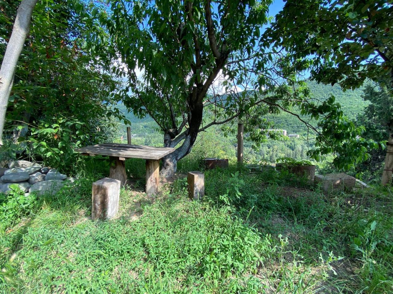 Green Garden