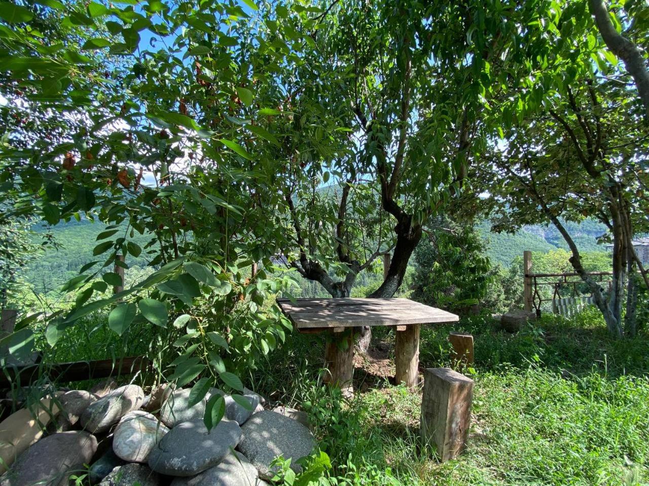 Green Garden