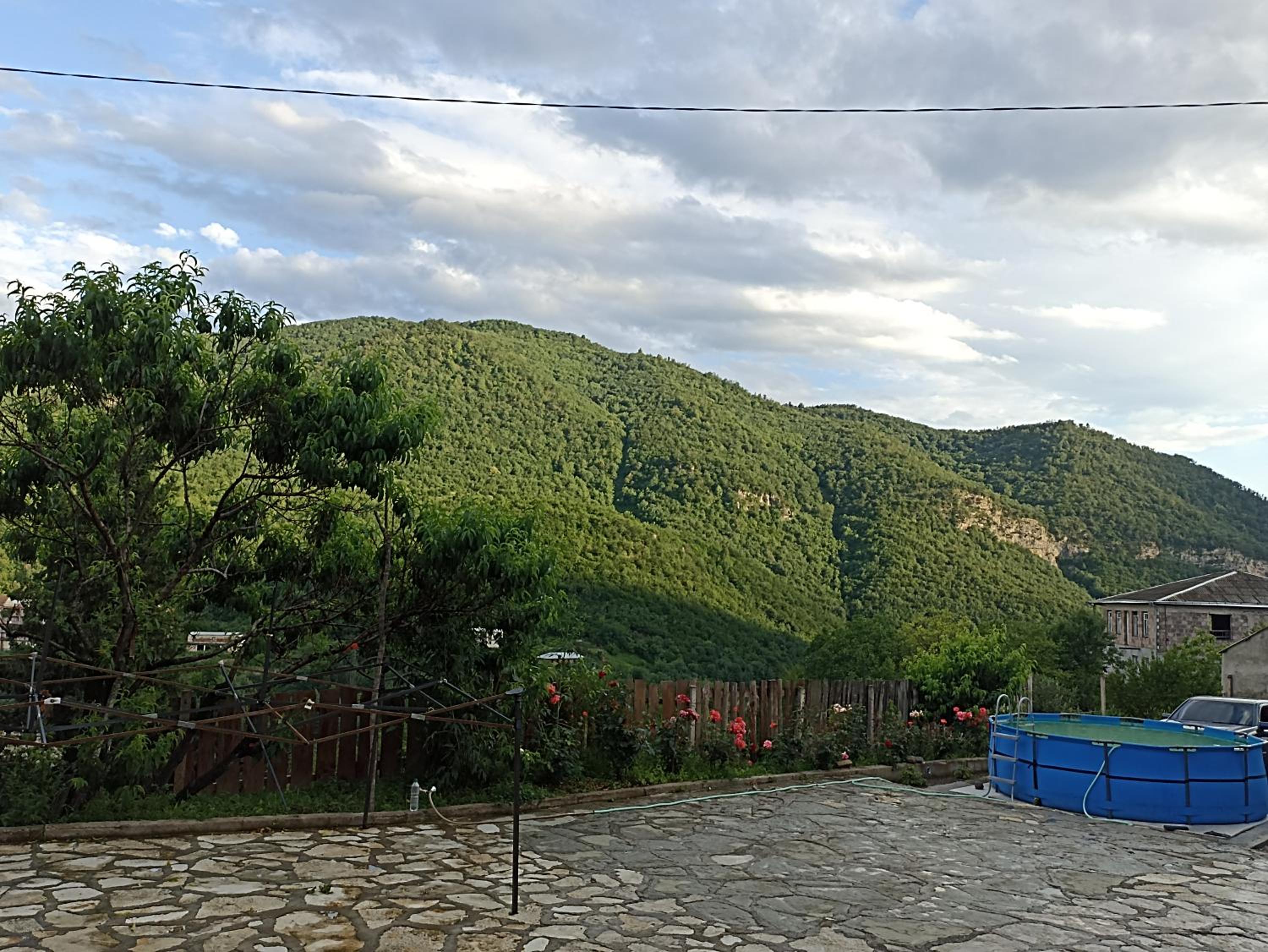 Green Garden