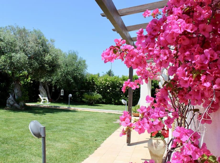 Villa Marea - Relax & Pool view 2