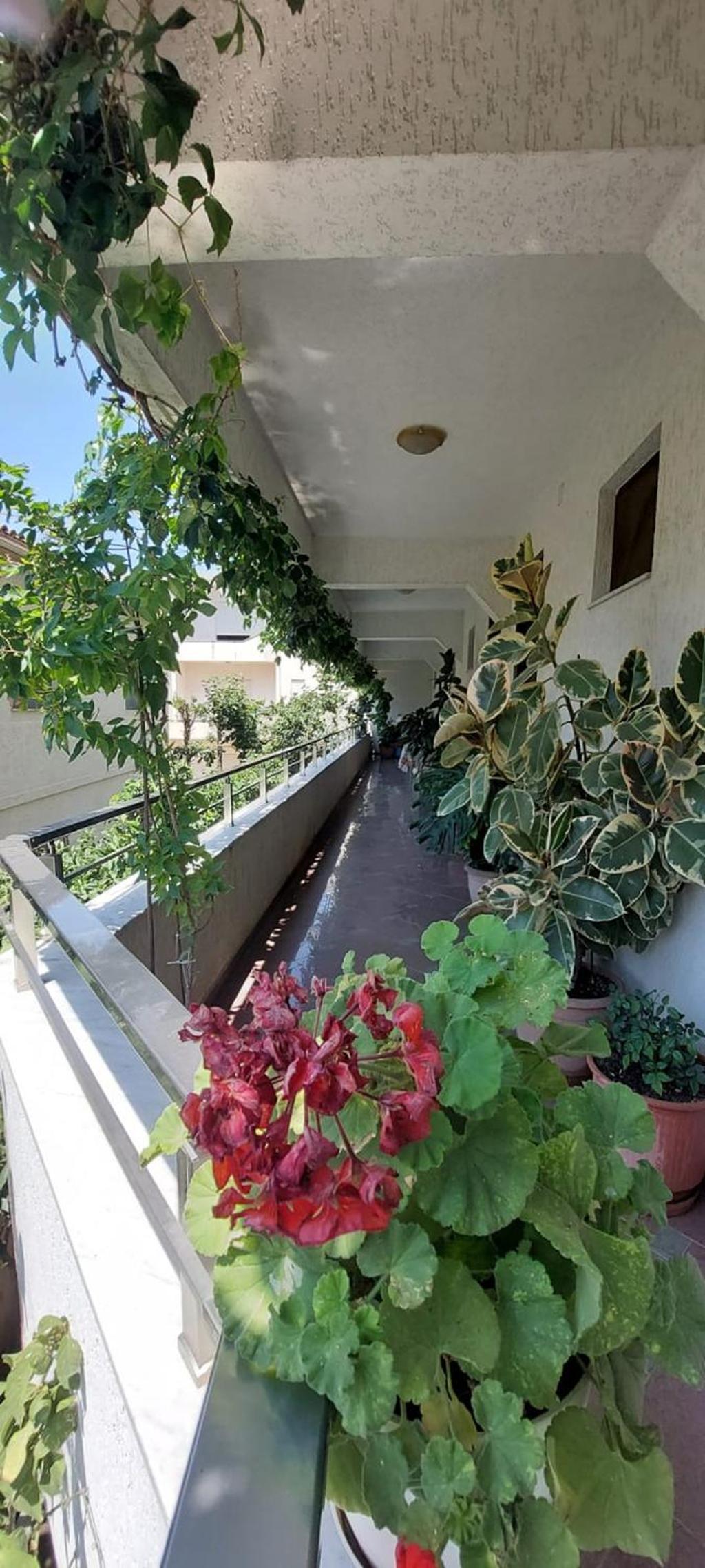 Villa Madani