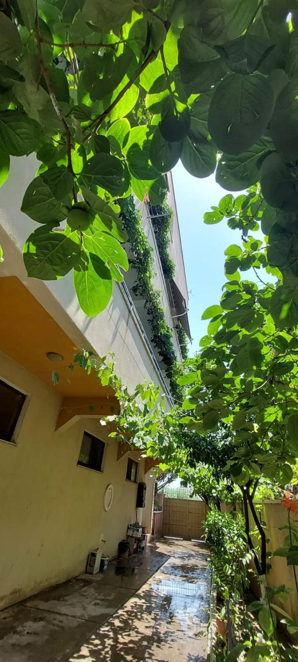 Villa Madani