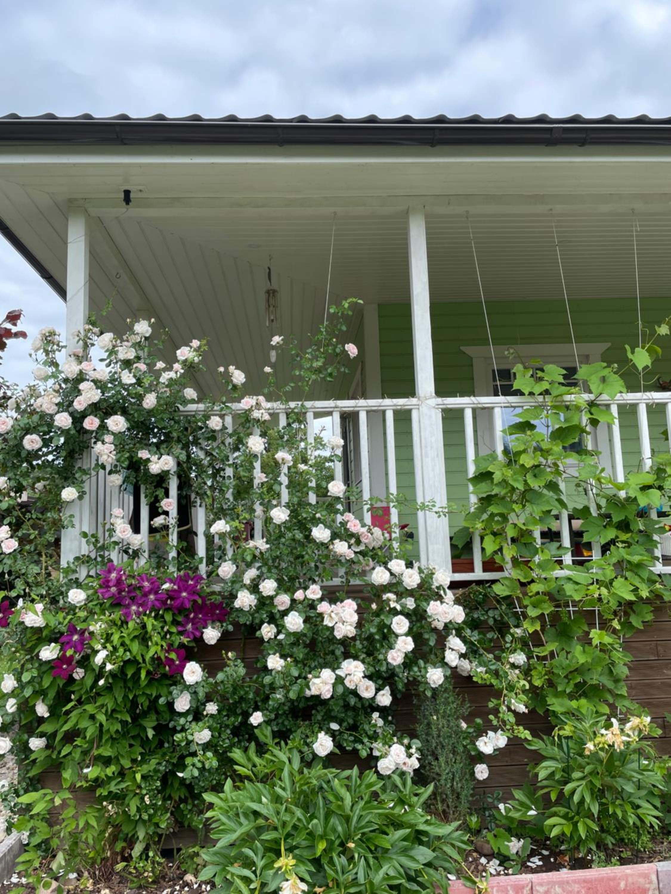Aunt Owl’s House