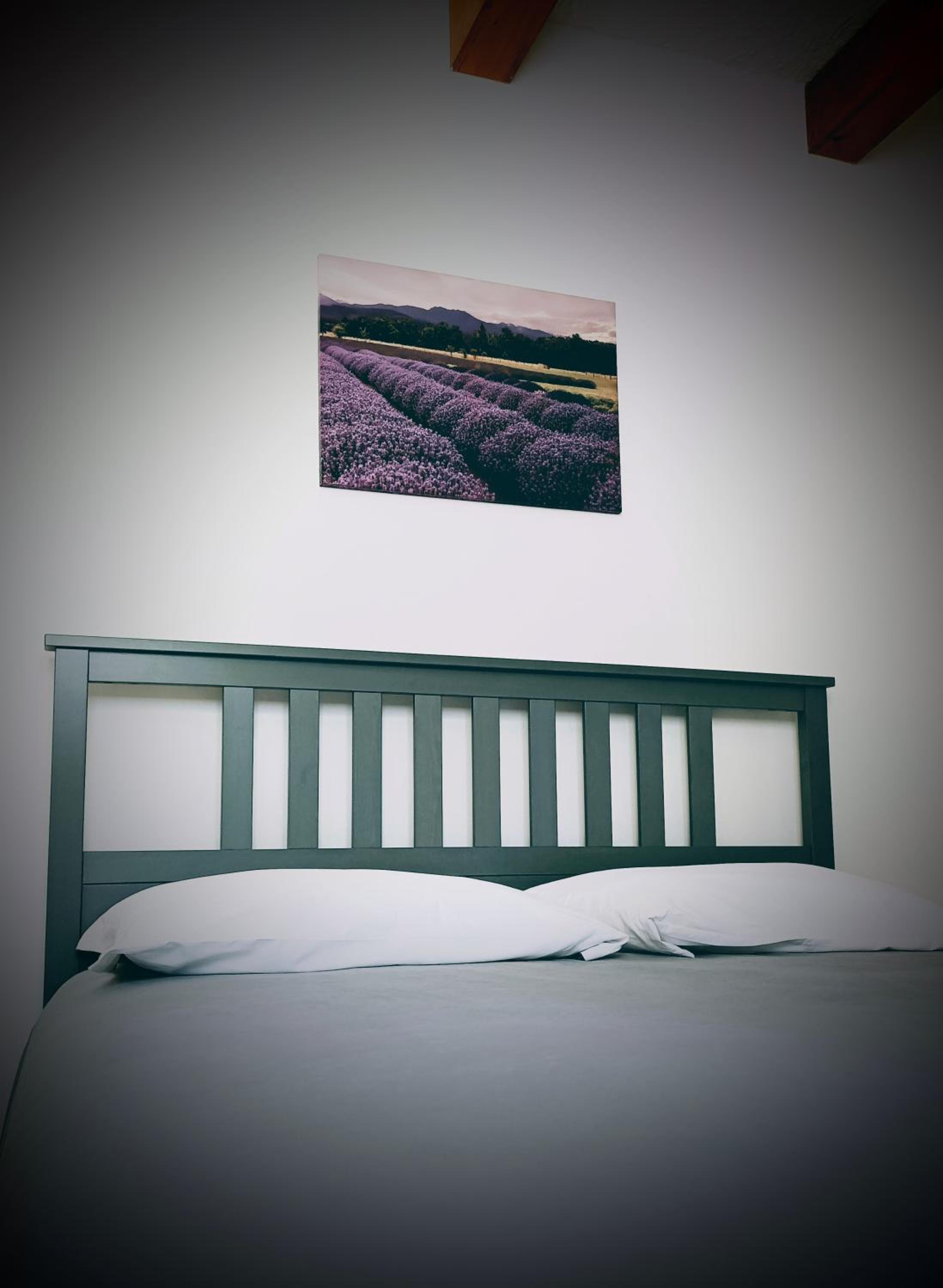 B&B Il Ghiro view 5