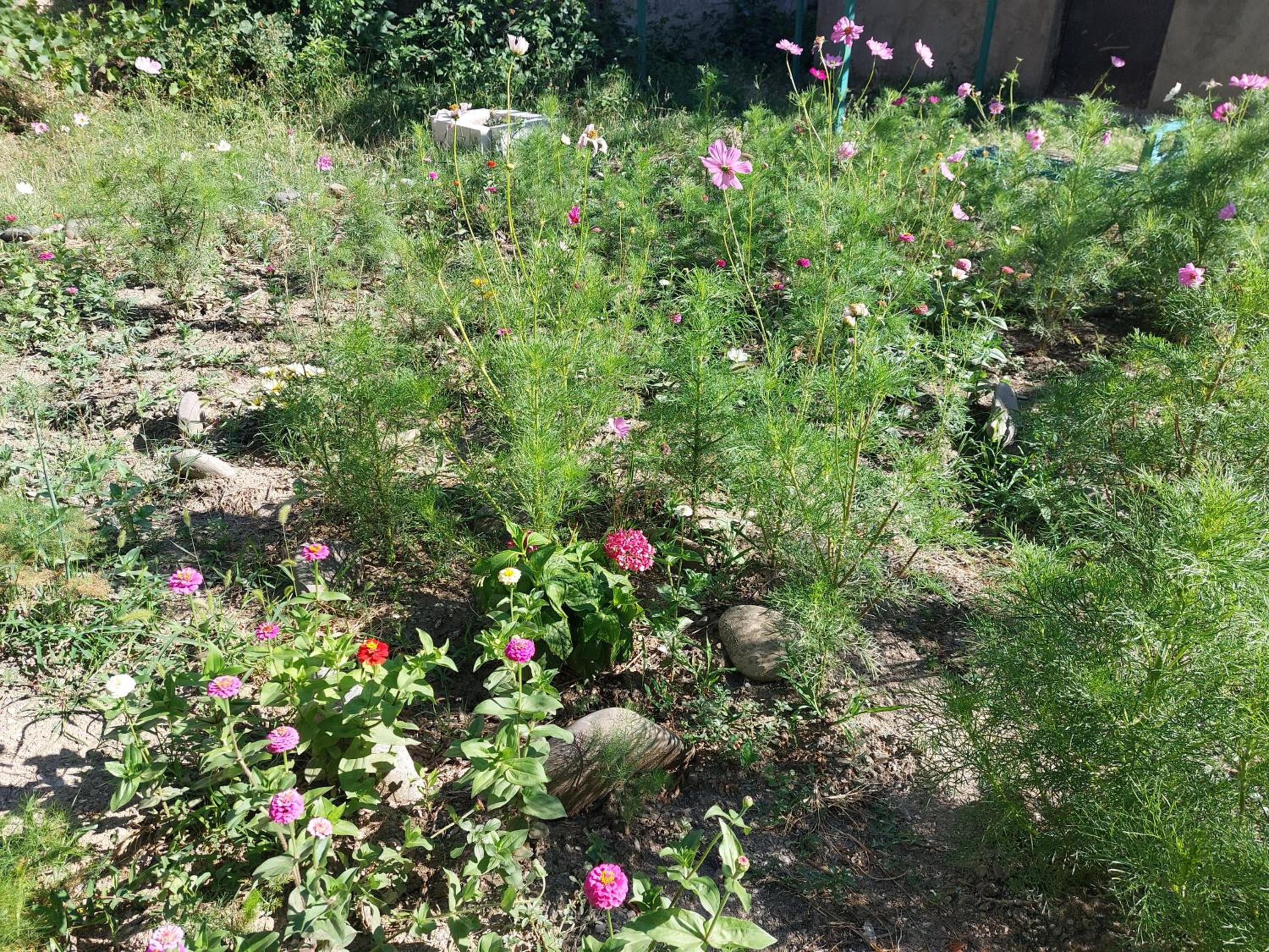 Photo 34