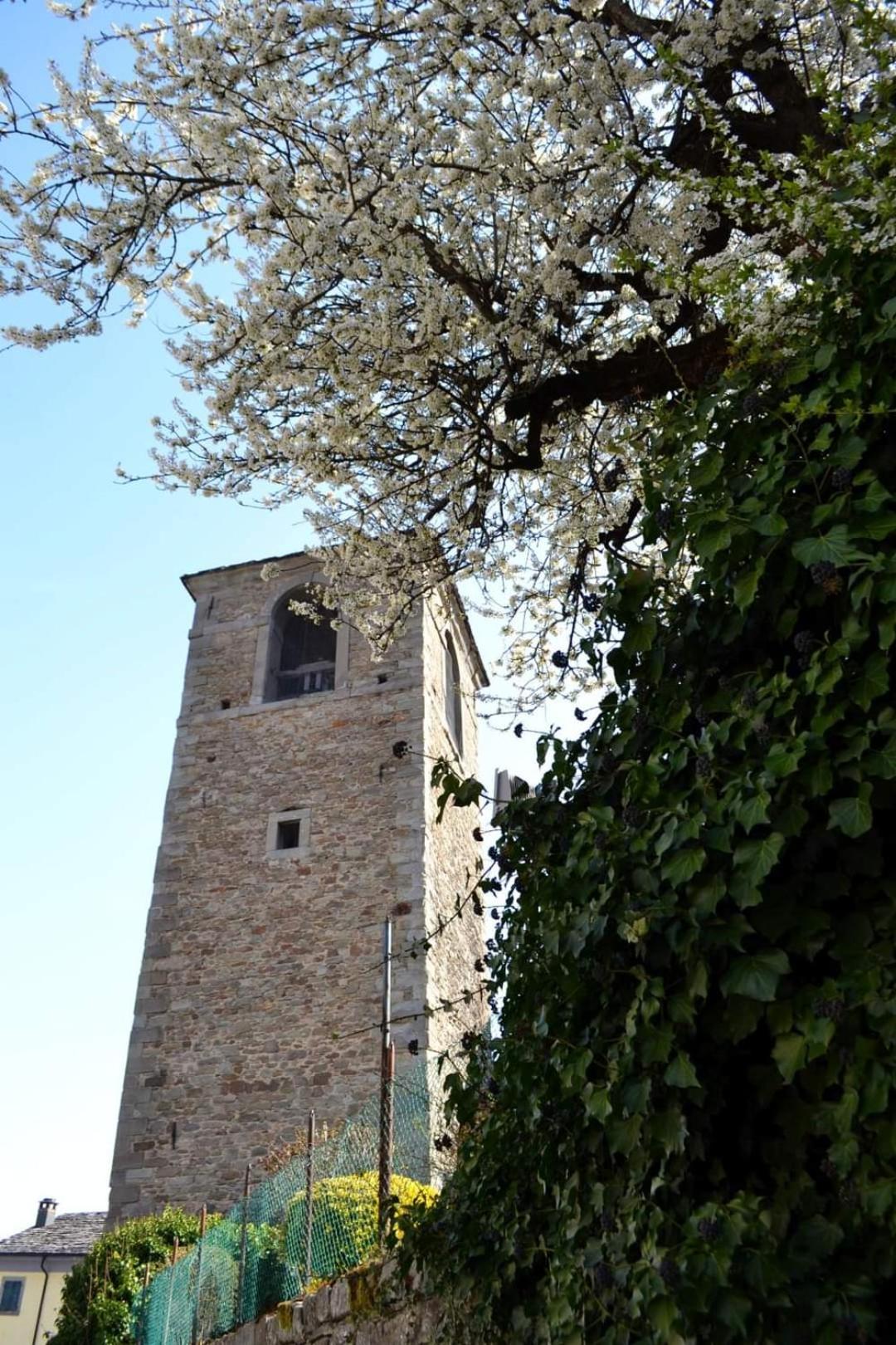 Photo 32
