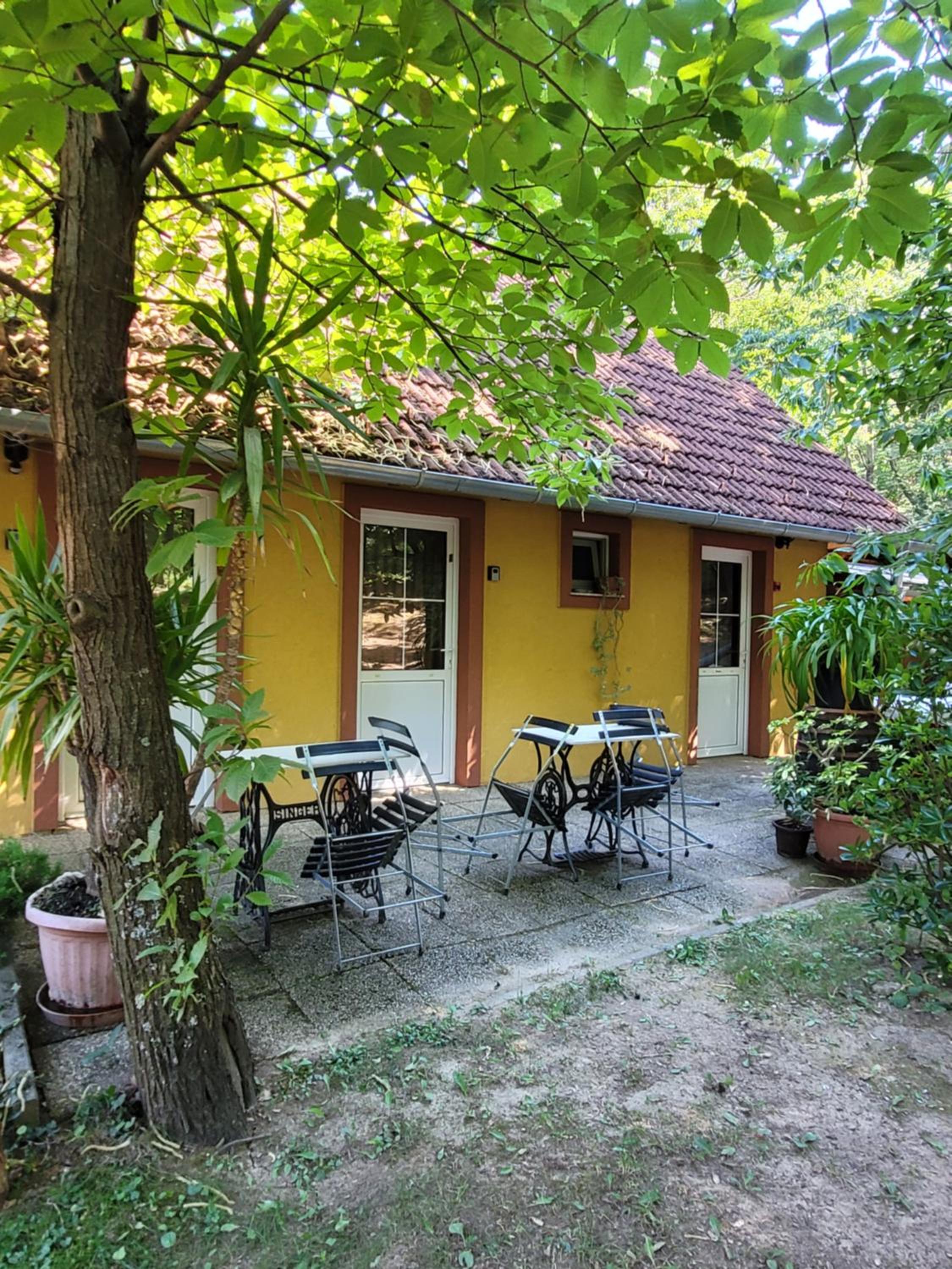 Mohás Vendégház Kőszeg Mohás út 107, photo 61