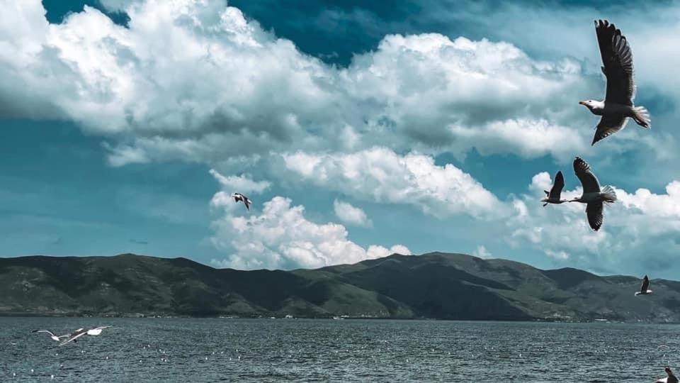 Guest house at the Lake Sevan