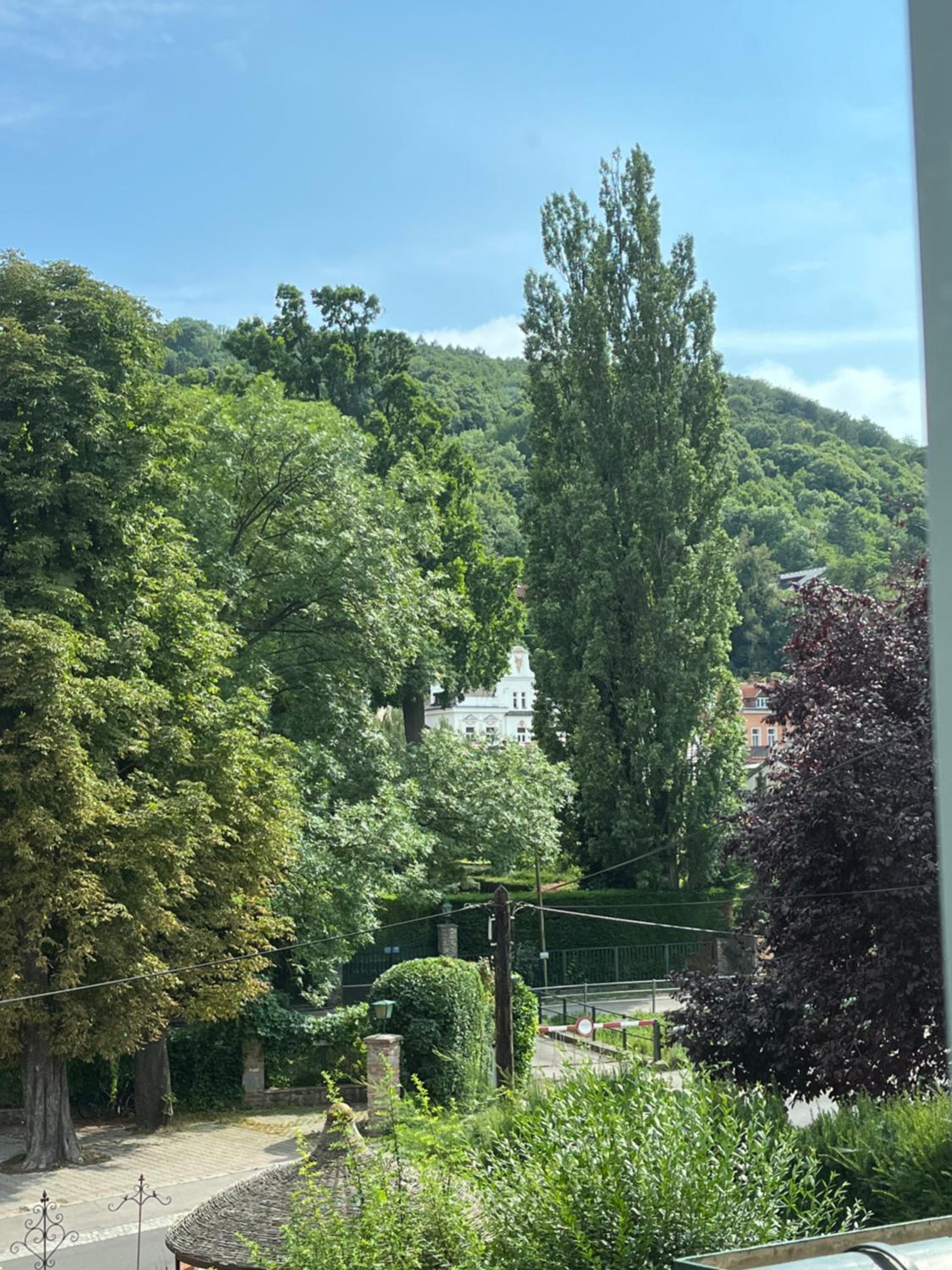 Photo 26