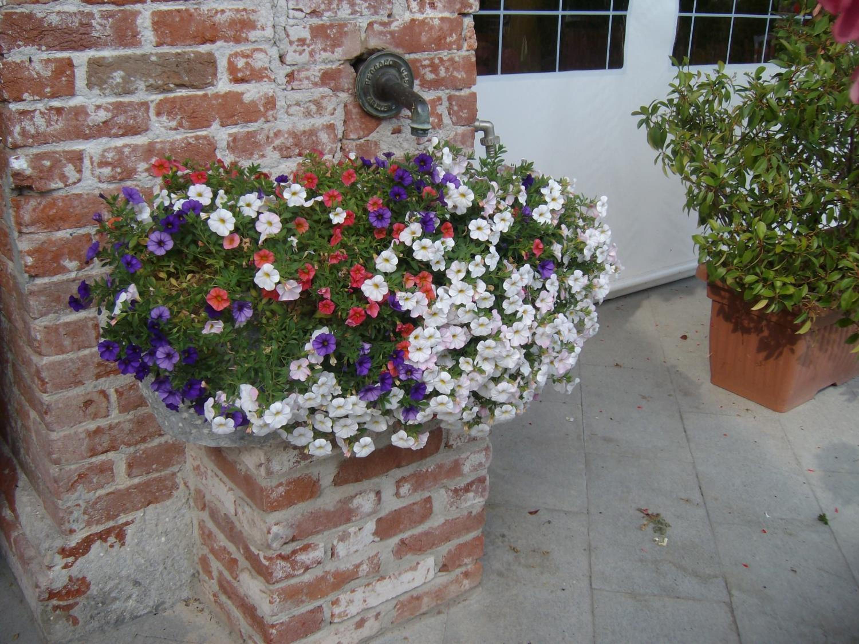 Photo 45