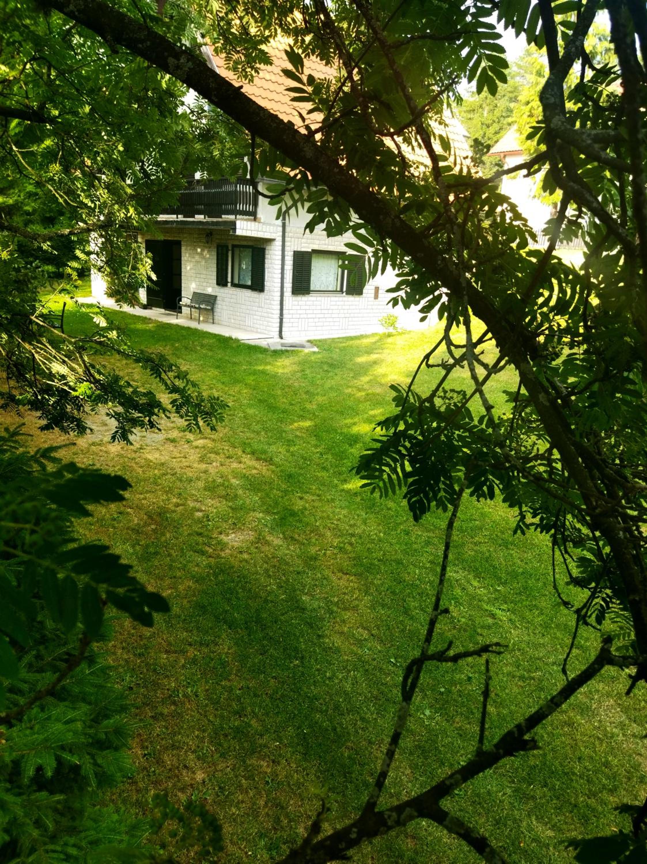 Kuca za odmor Zlatibor view 4