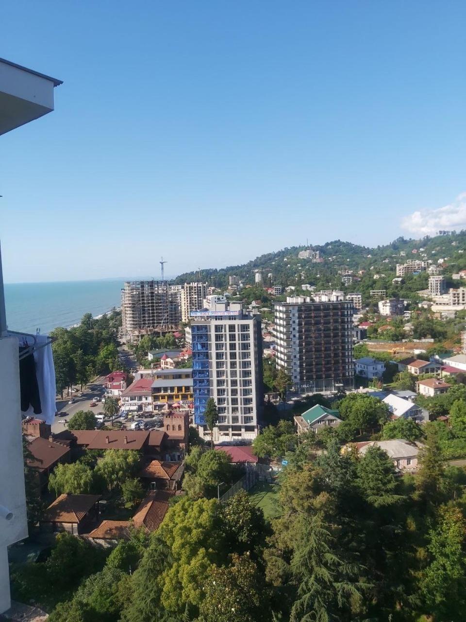 Студия с красивым видом на горы view 3