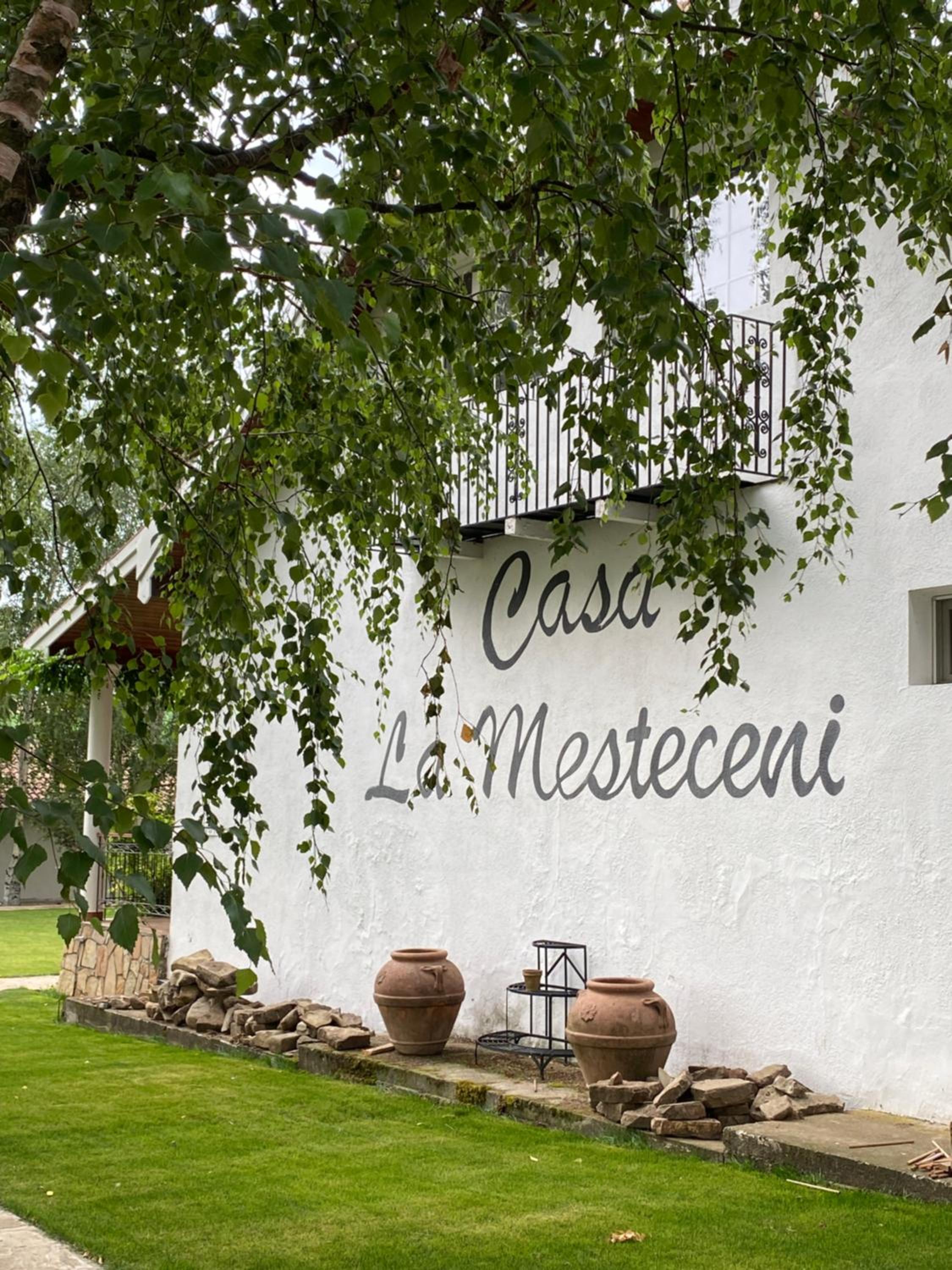 Country Club La Mesteceni view 3