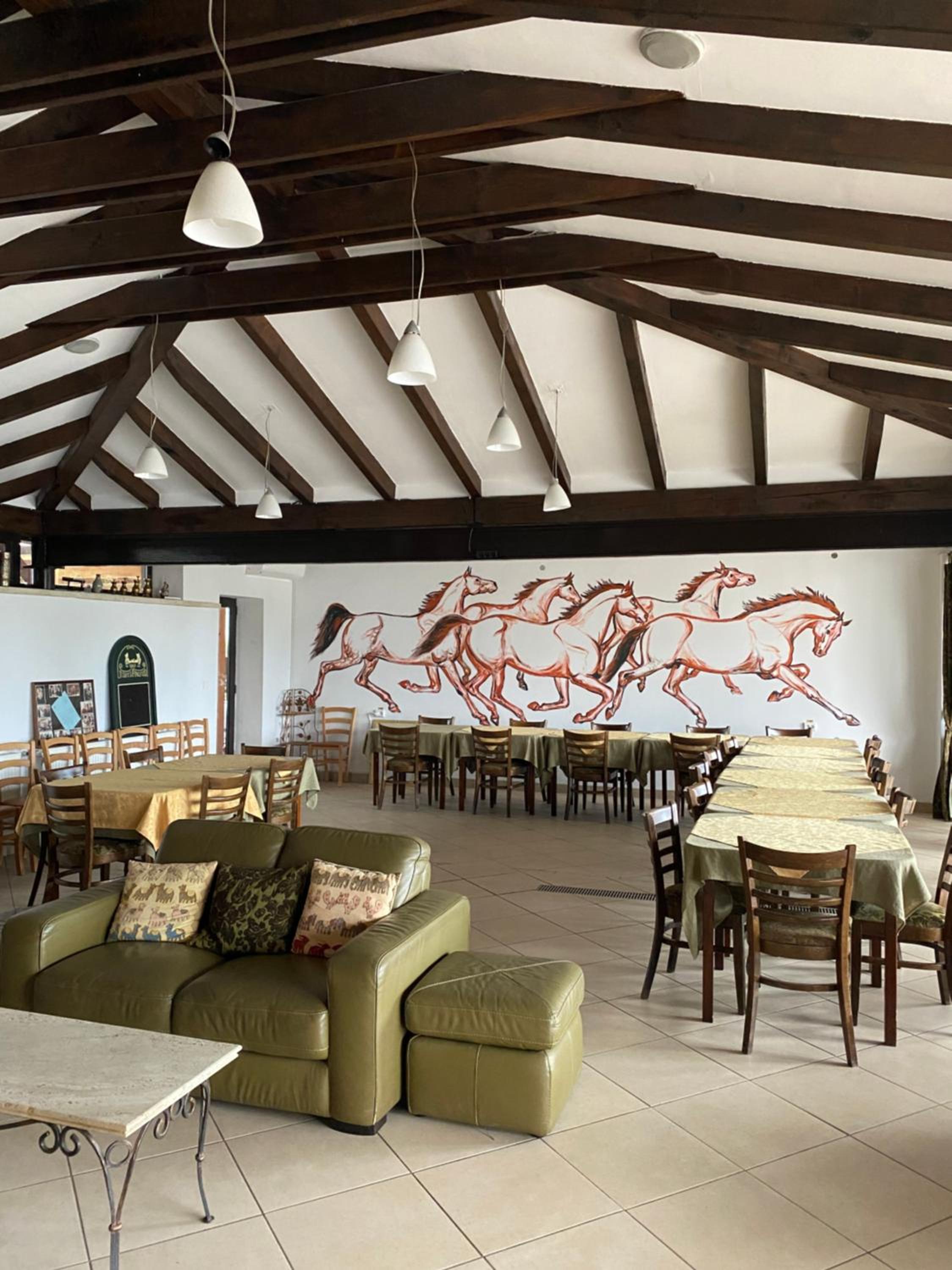 Country Club La Mesteceni view 5