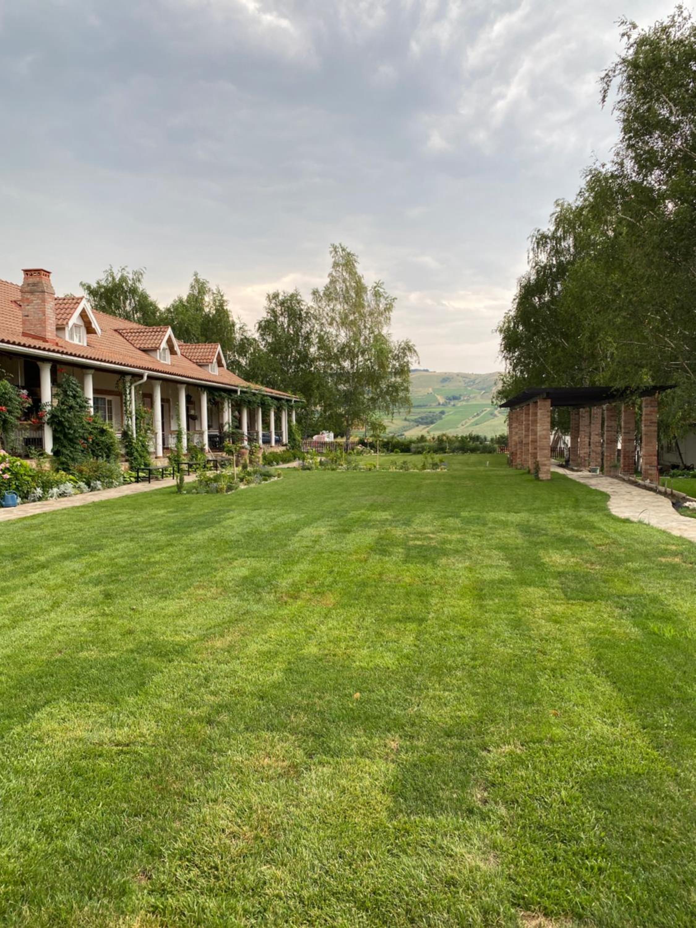 Country Club La Mesteceni view 4