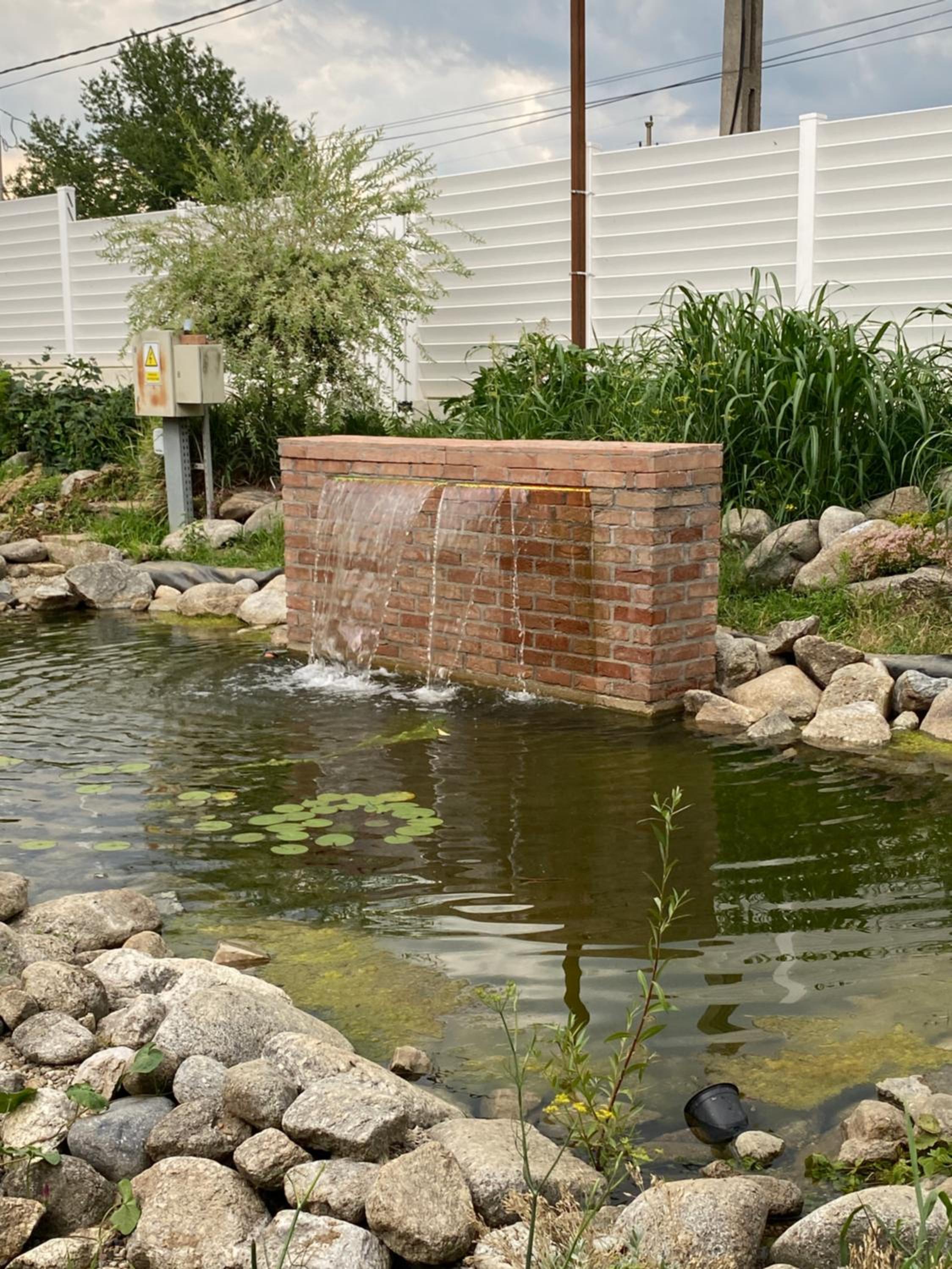 Photo 11