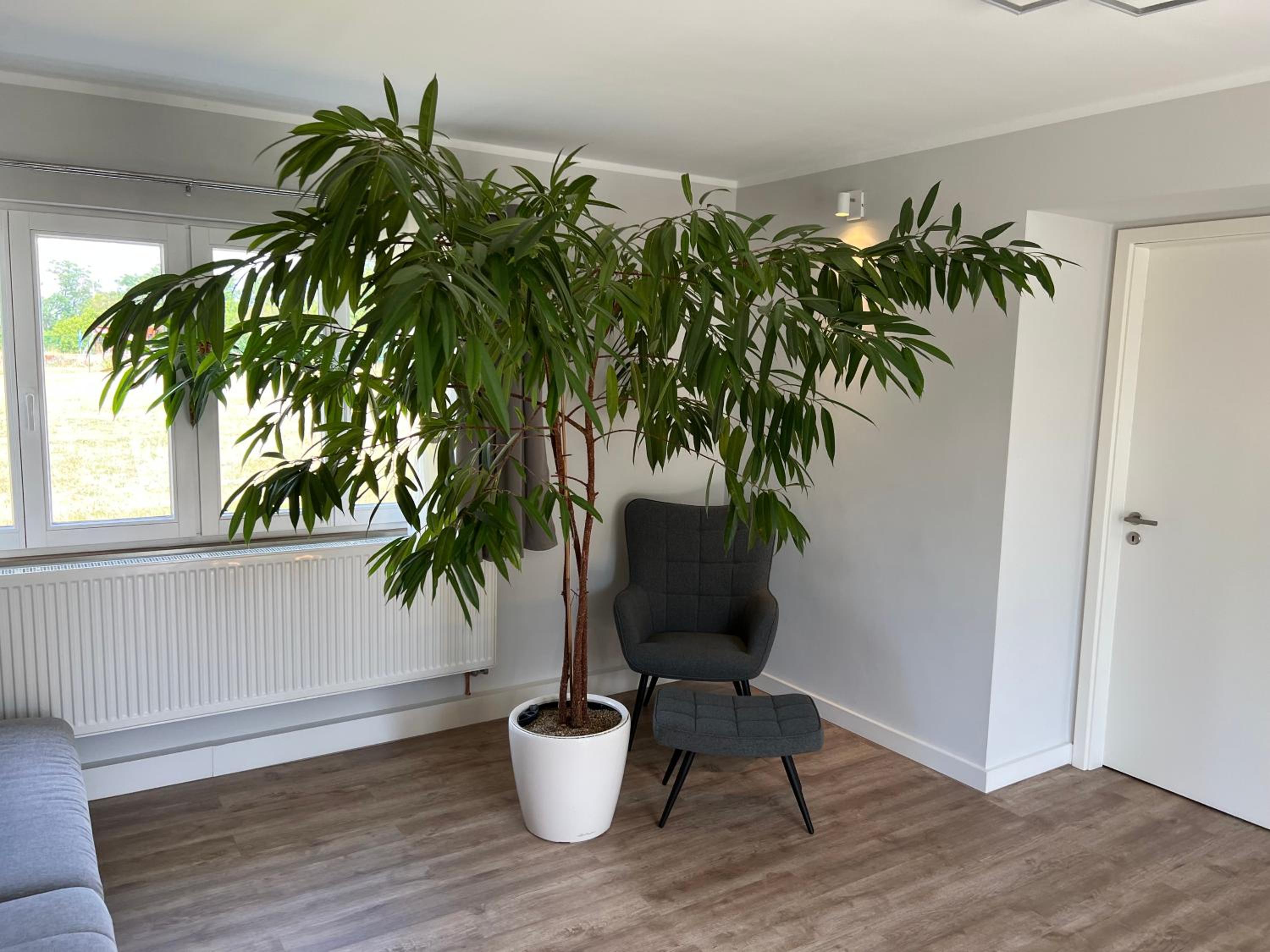Bungalow 4 Schlafzimmer 8 Personen Parkplatz Grundstück Garten