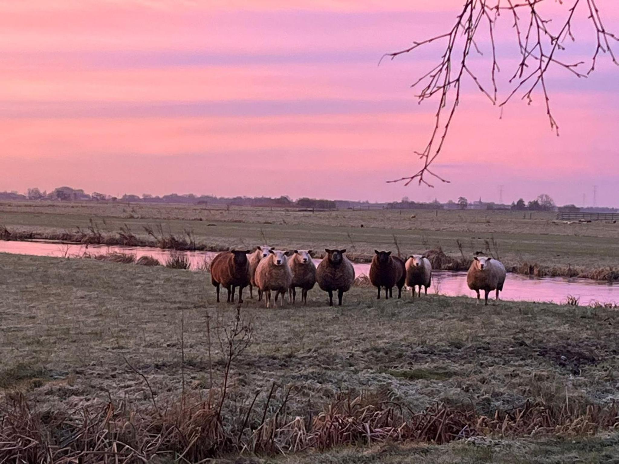 B&B De Beijersche Stee, Logies aan de Waterkant