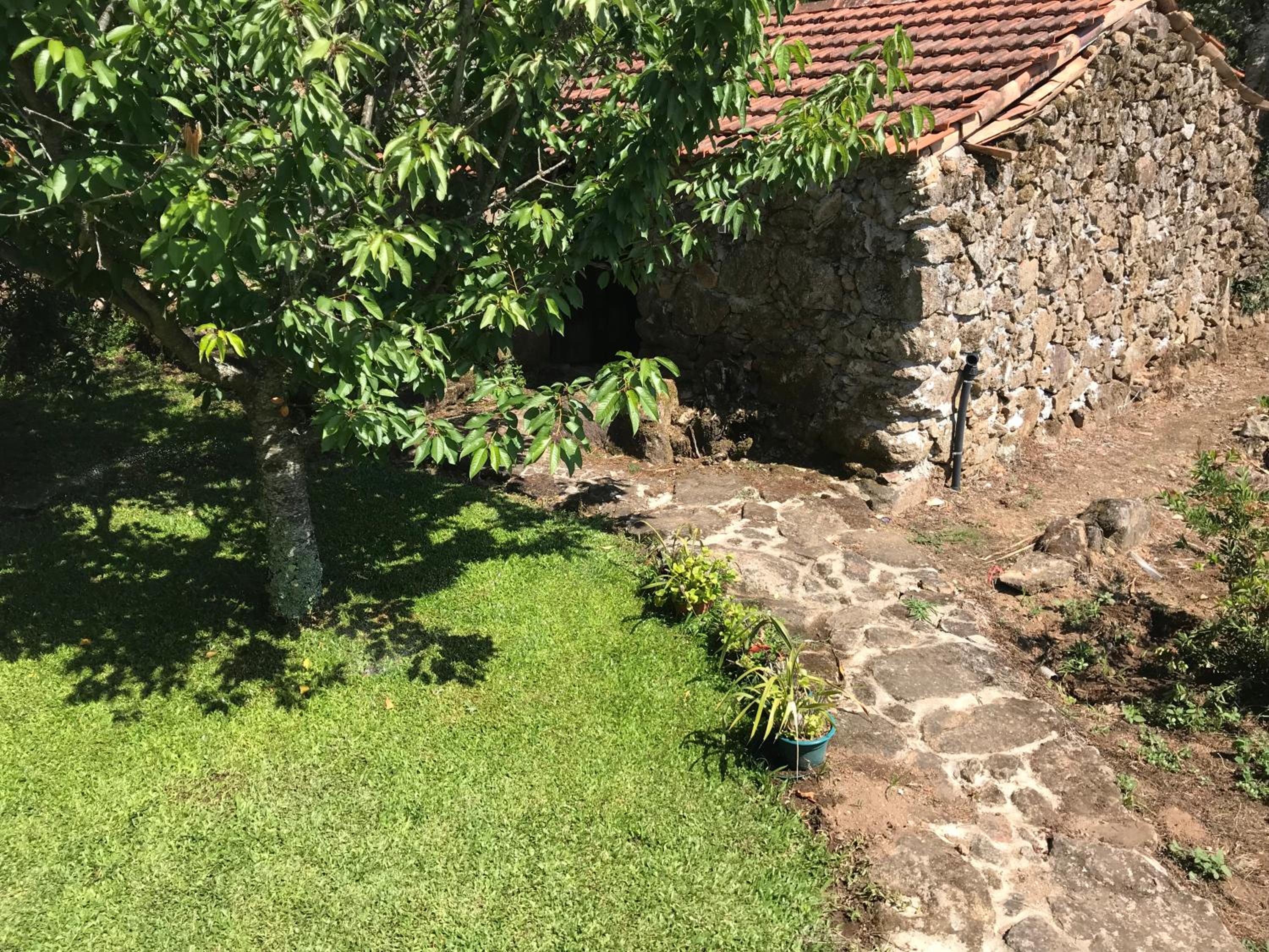 Photo 26