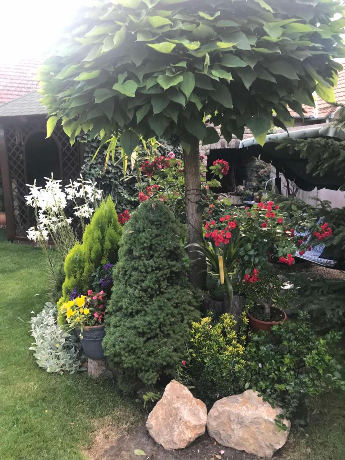 Photo 18