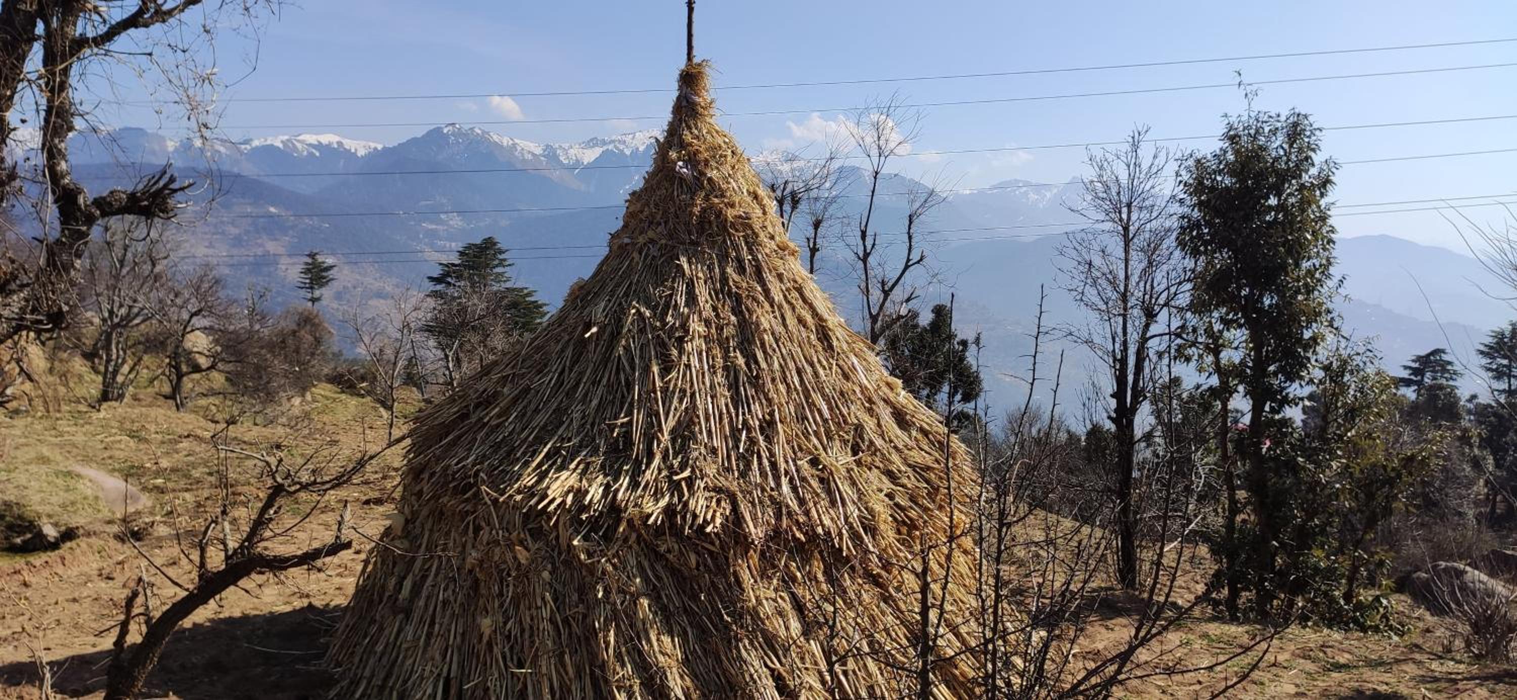 Photo 80