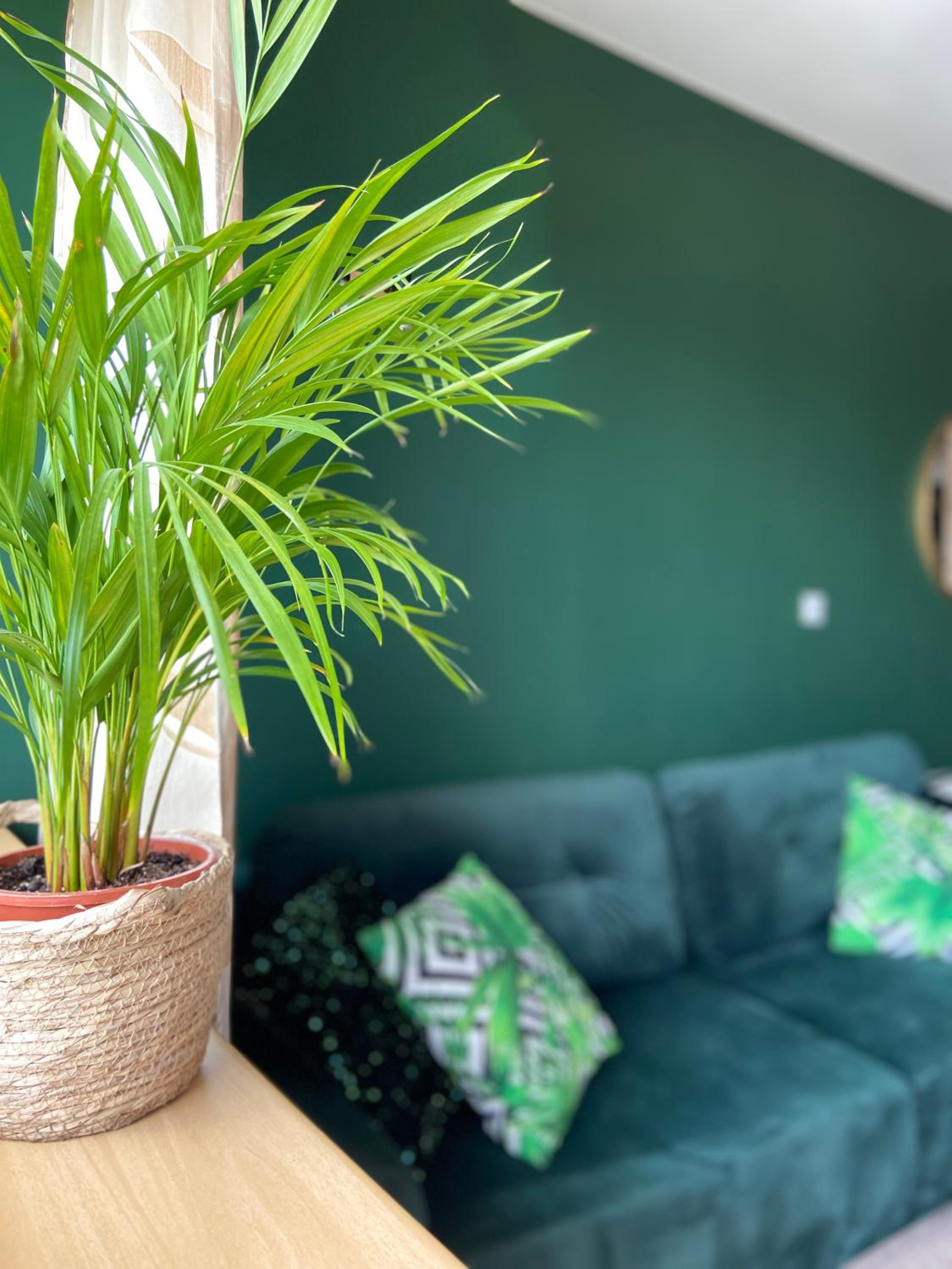 Apartamenty Termalne GREEN Apartment view 5