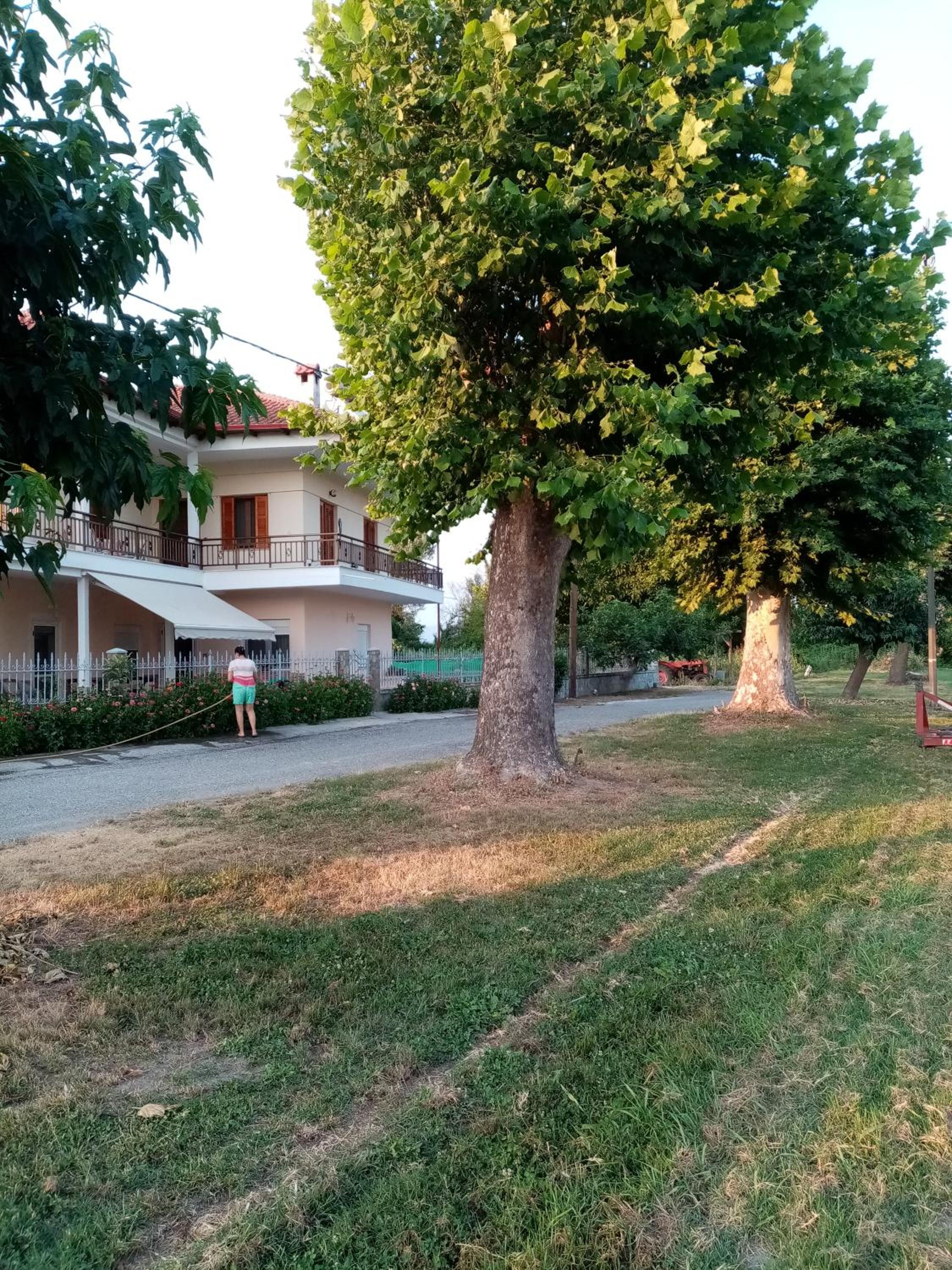 Mary's filoxenia view 2
