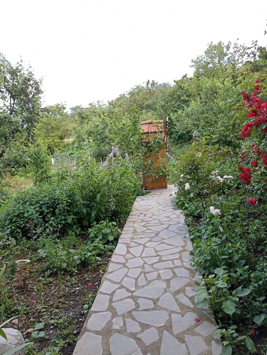 AMOJ B&B and Guest House