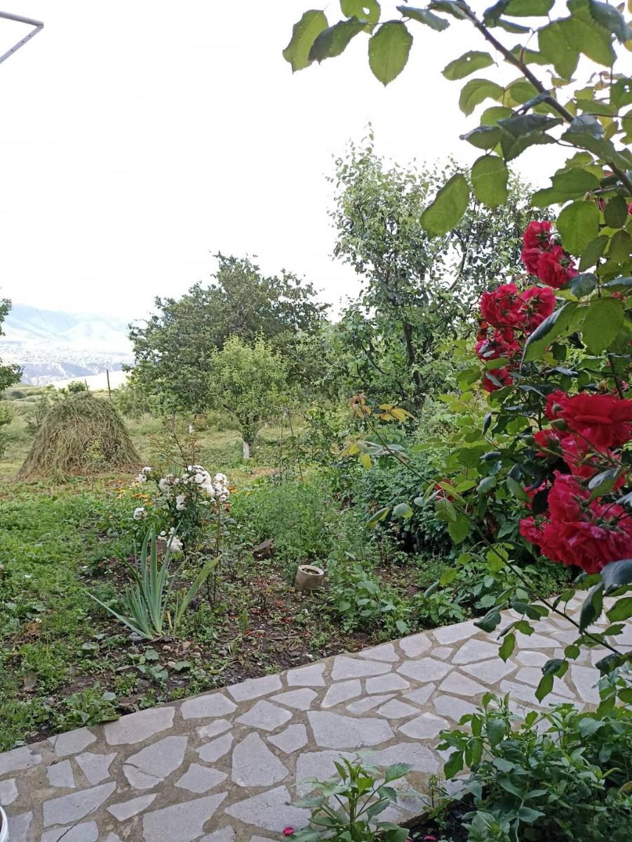 AMOJ B&B and Guest House