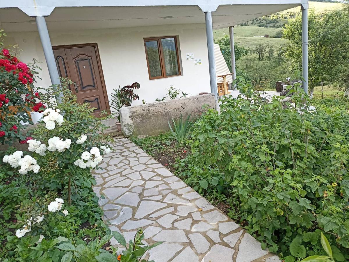 AMOJ B&B and Guest House