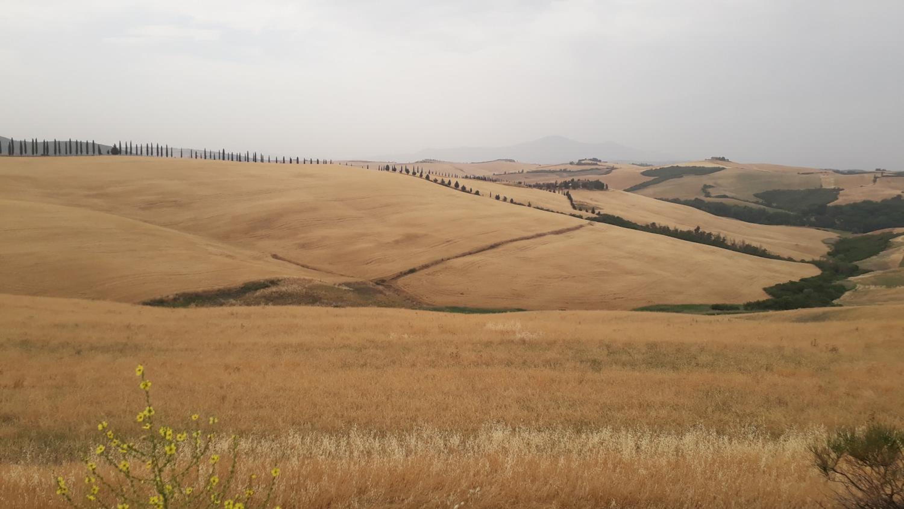 Podere Pievina Delle Corti - Dimora di Campagna