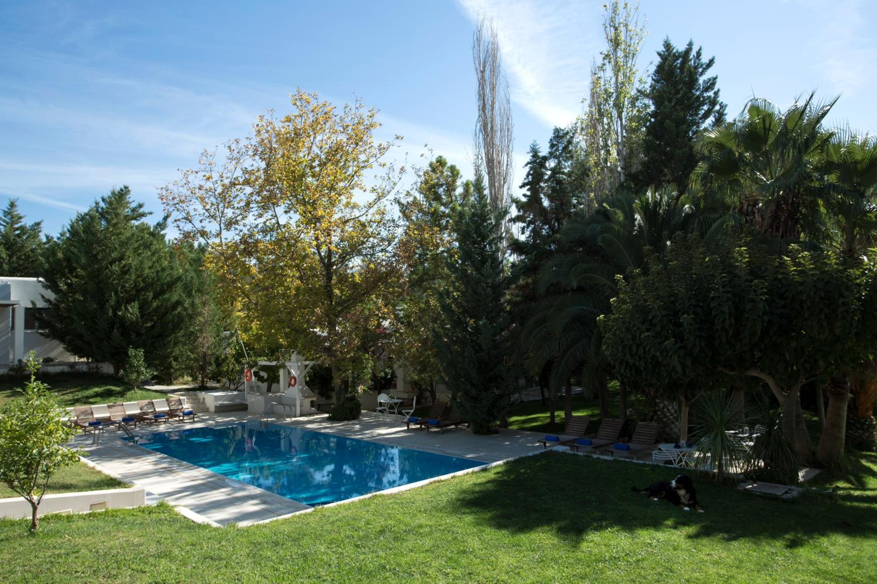 Photo 43