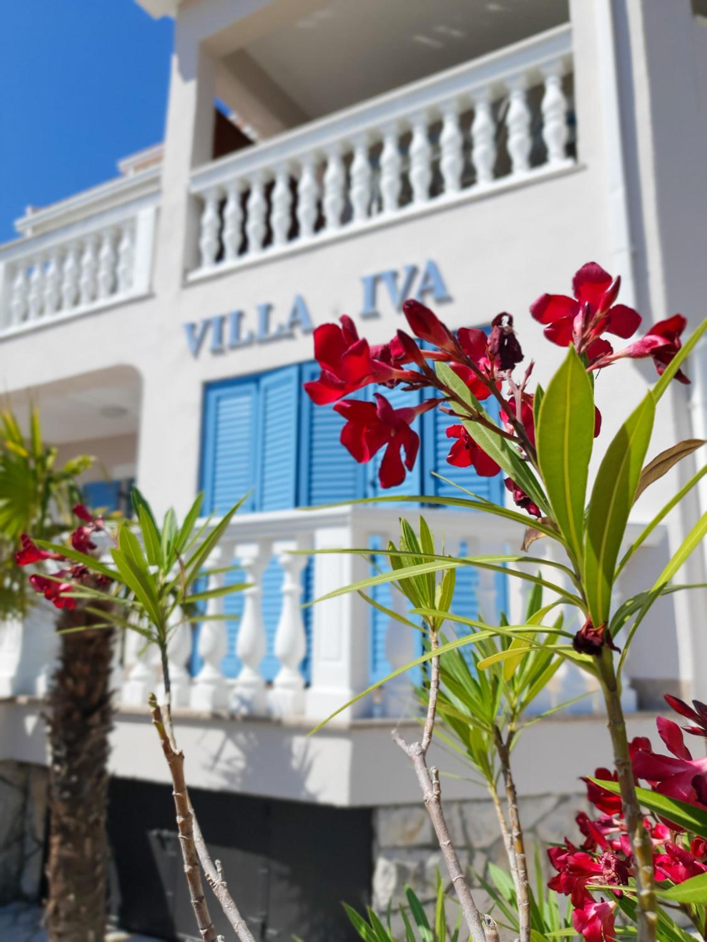 Apartments Villa Iva view 5
