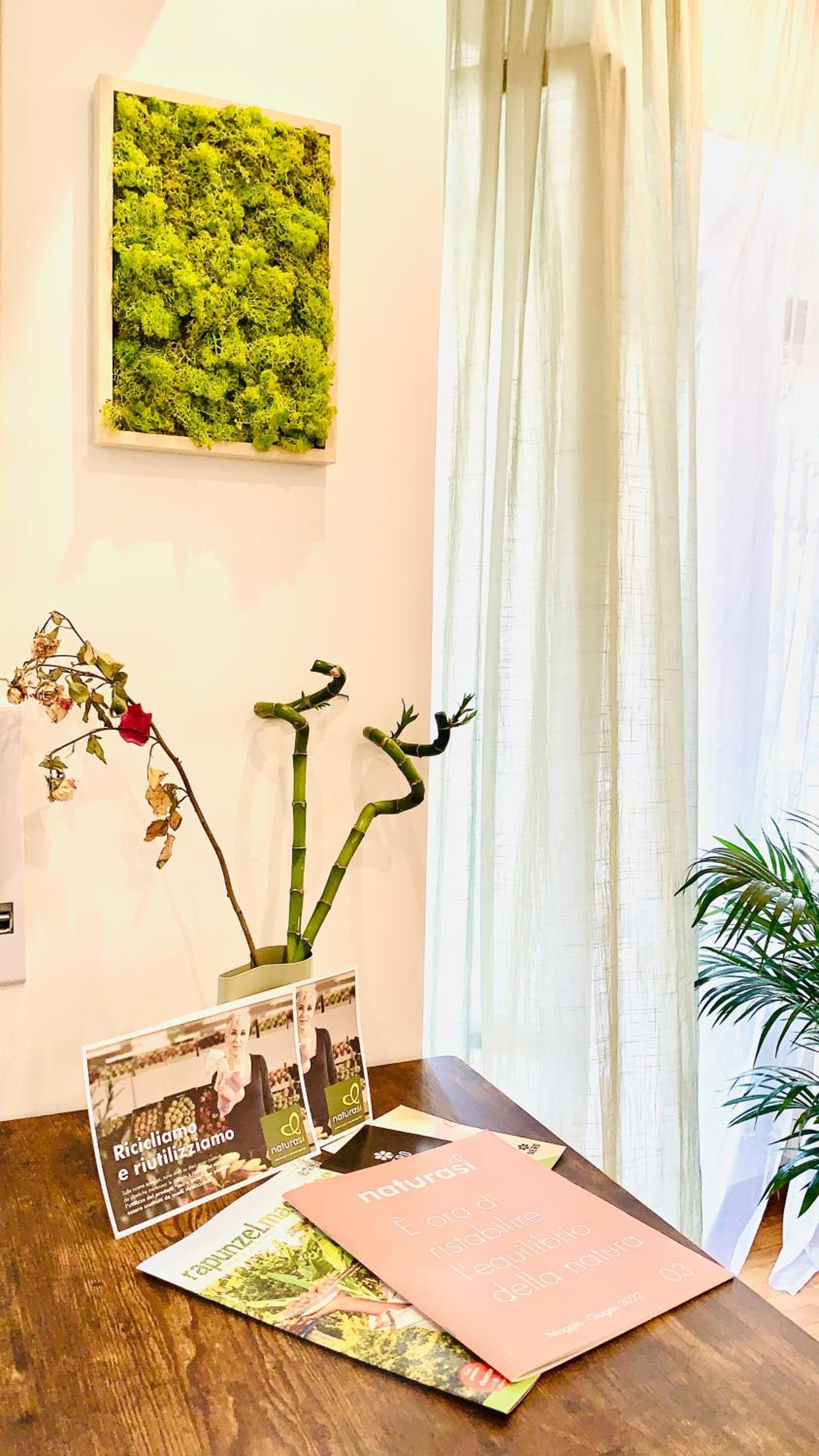 PLANT HOUSE Roma Eur