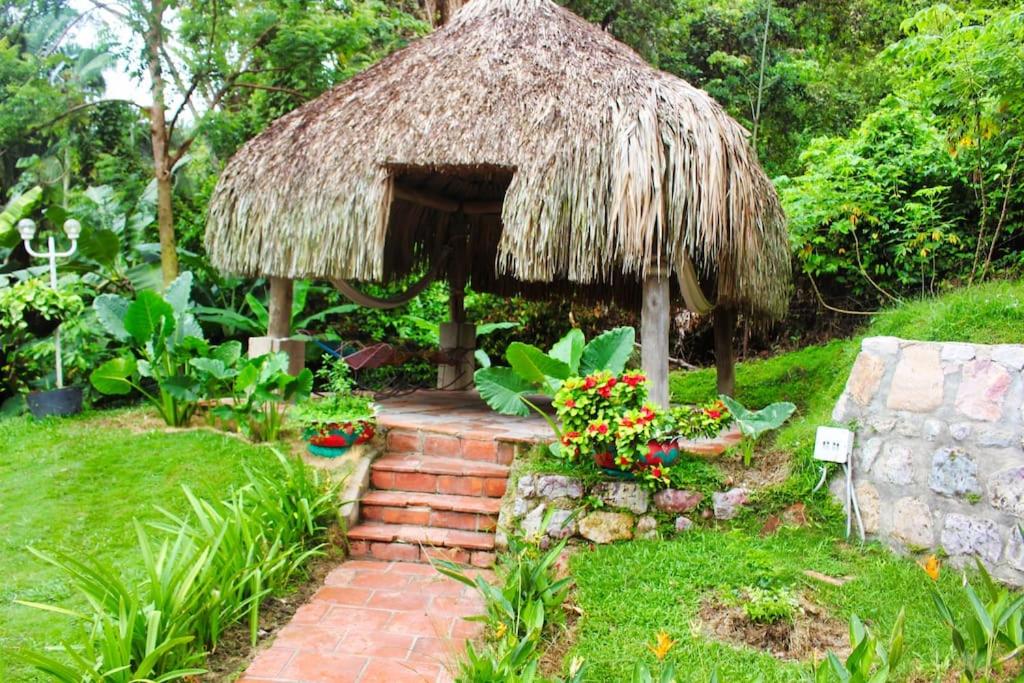 Casa de las Guacamayas