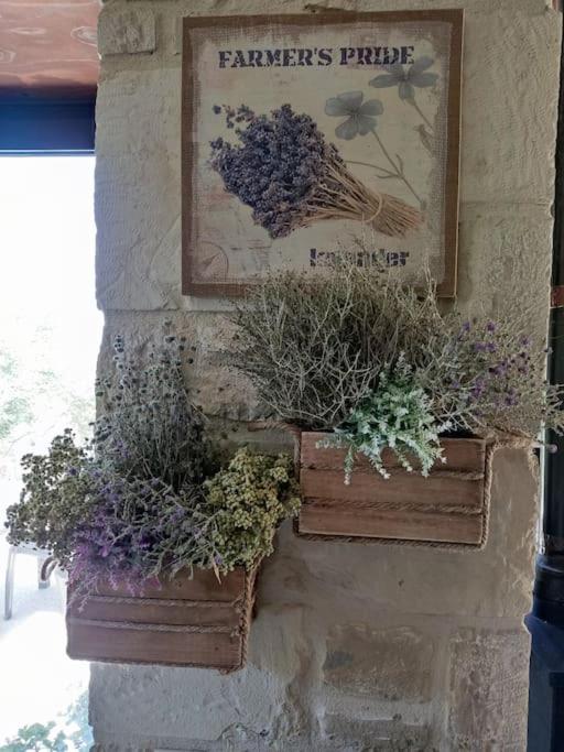 OLIVE LAND - ΓΗ ΤΗΣ ΕΛΙΑΣ / STONE VILLA.