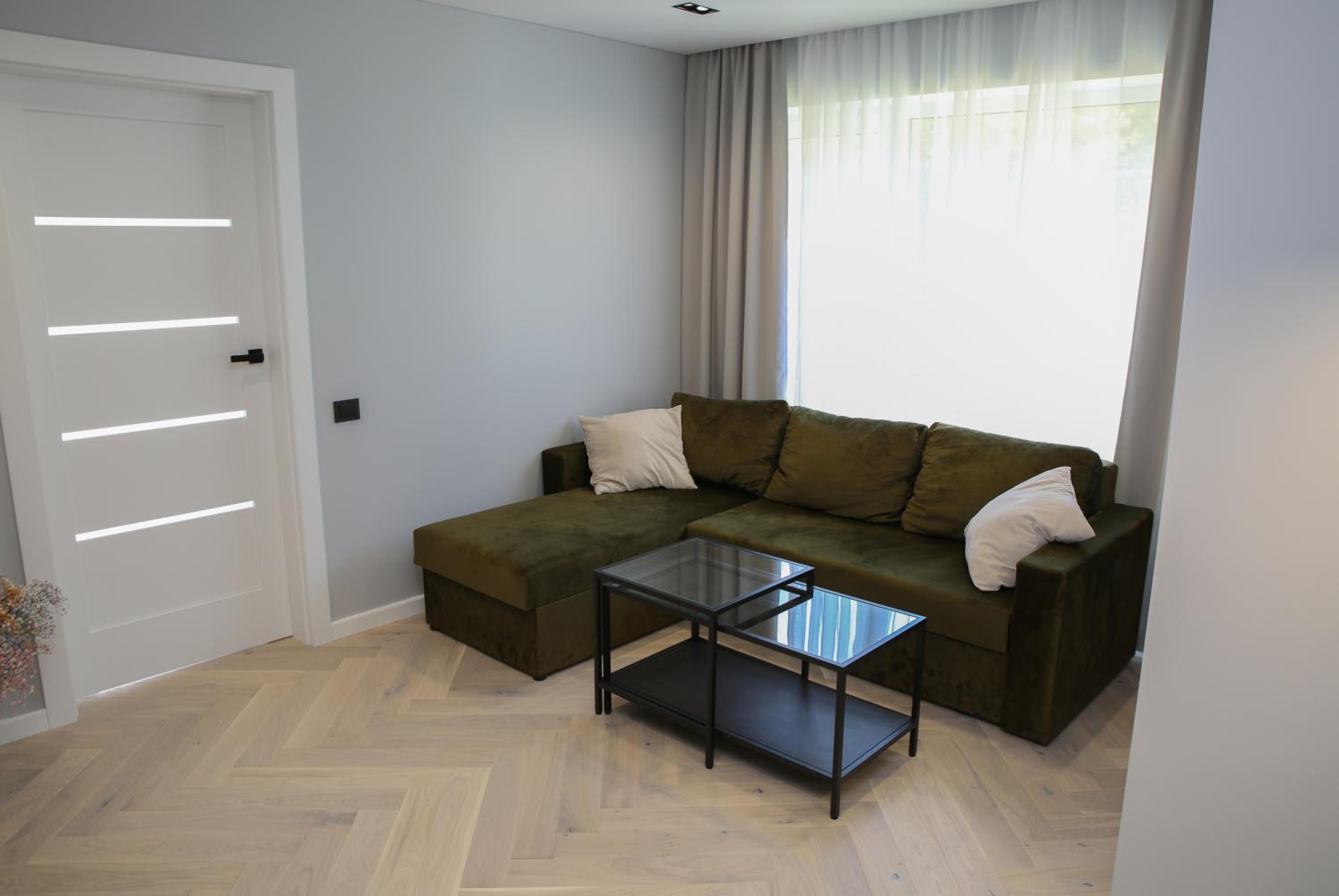 Birutės parko apartamentai view 4