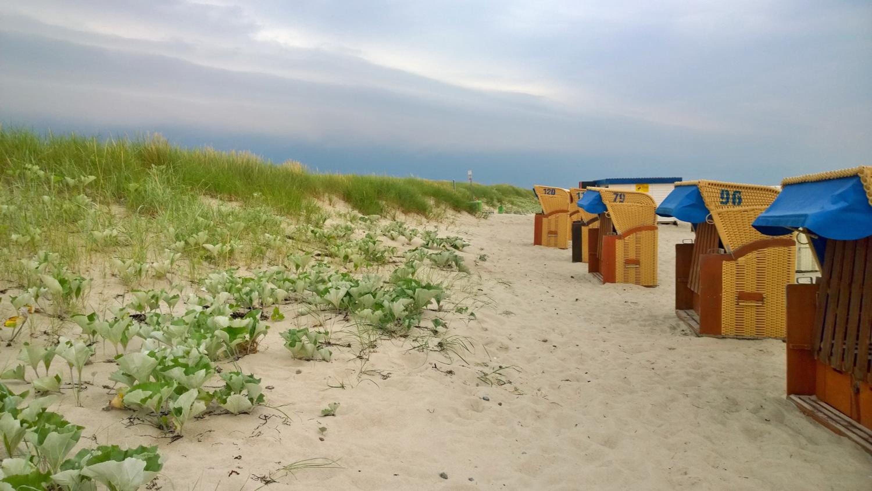 Ostsee Ferienappartement Dierhagen-Strand