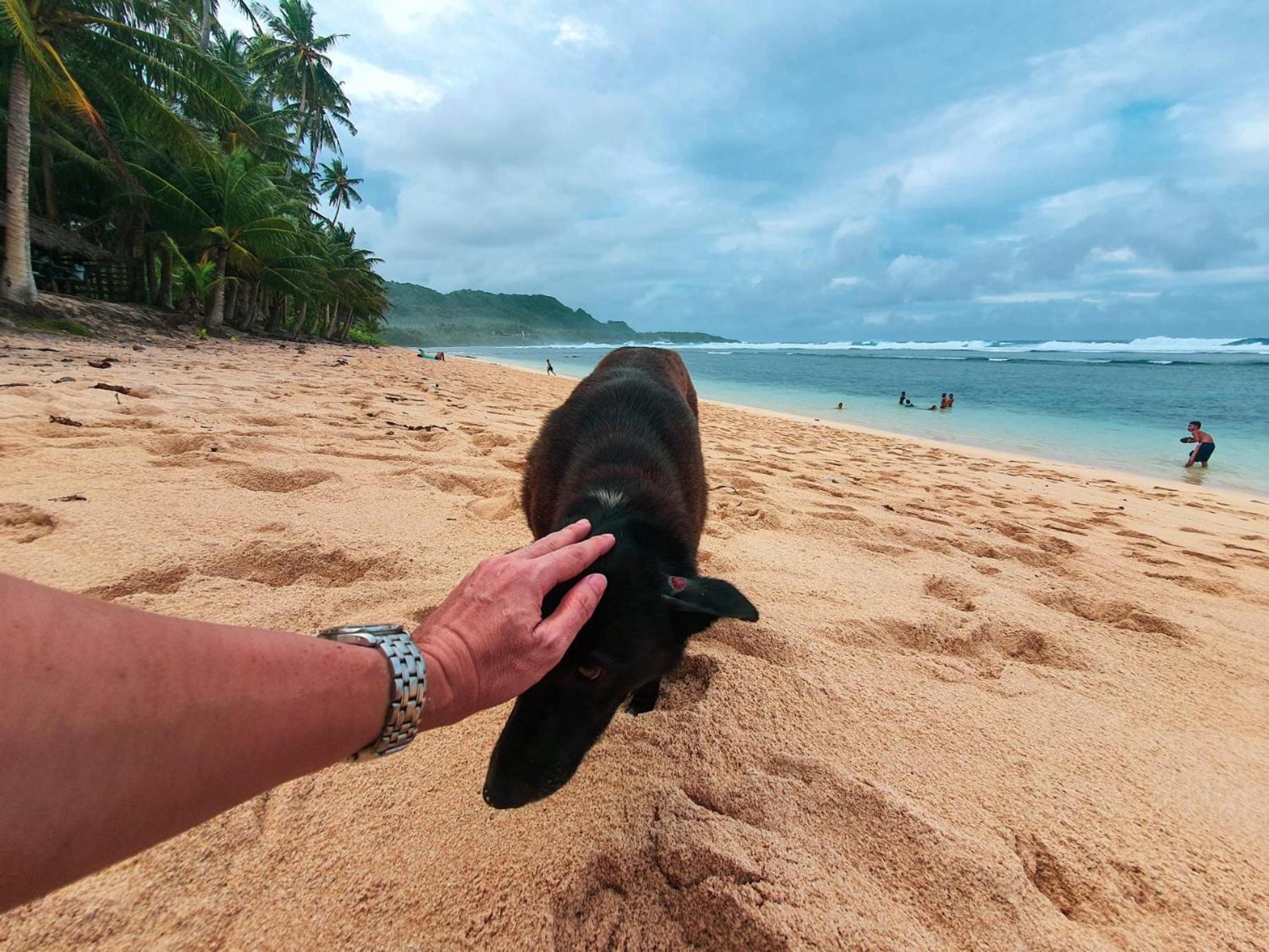 Coleto Siargao