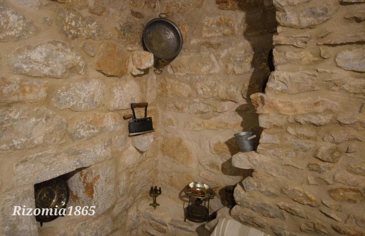 Rizomia 1865 photo 5