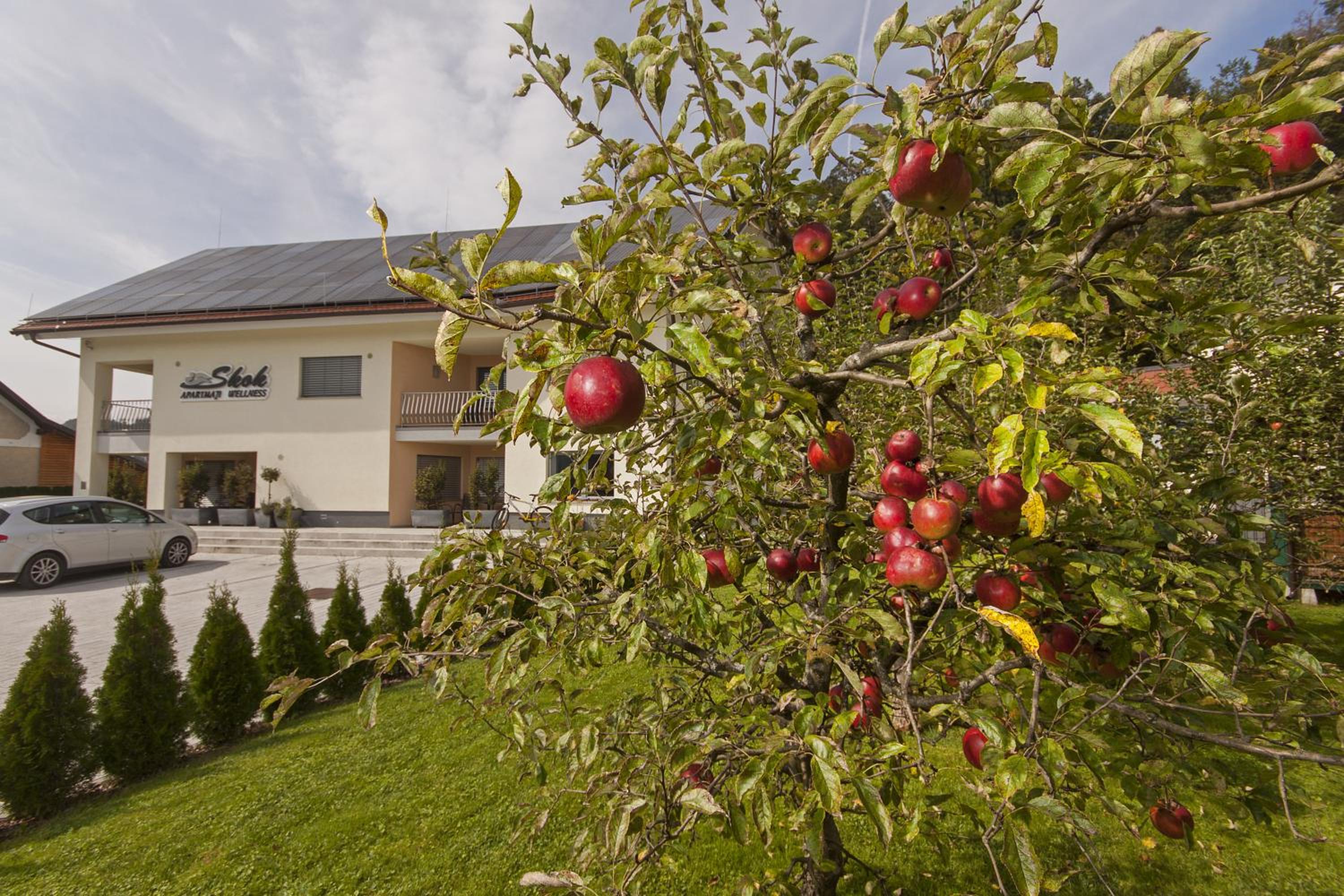 Apartments & Wellness Skok
