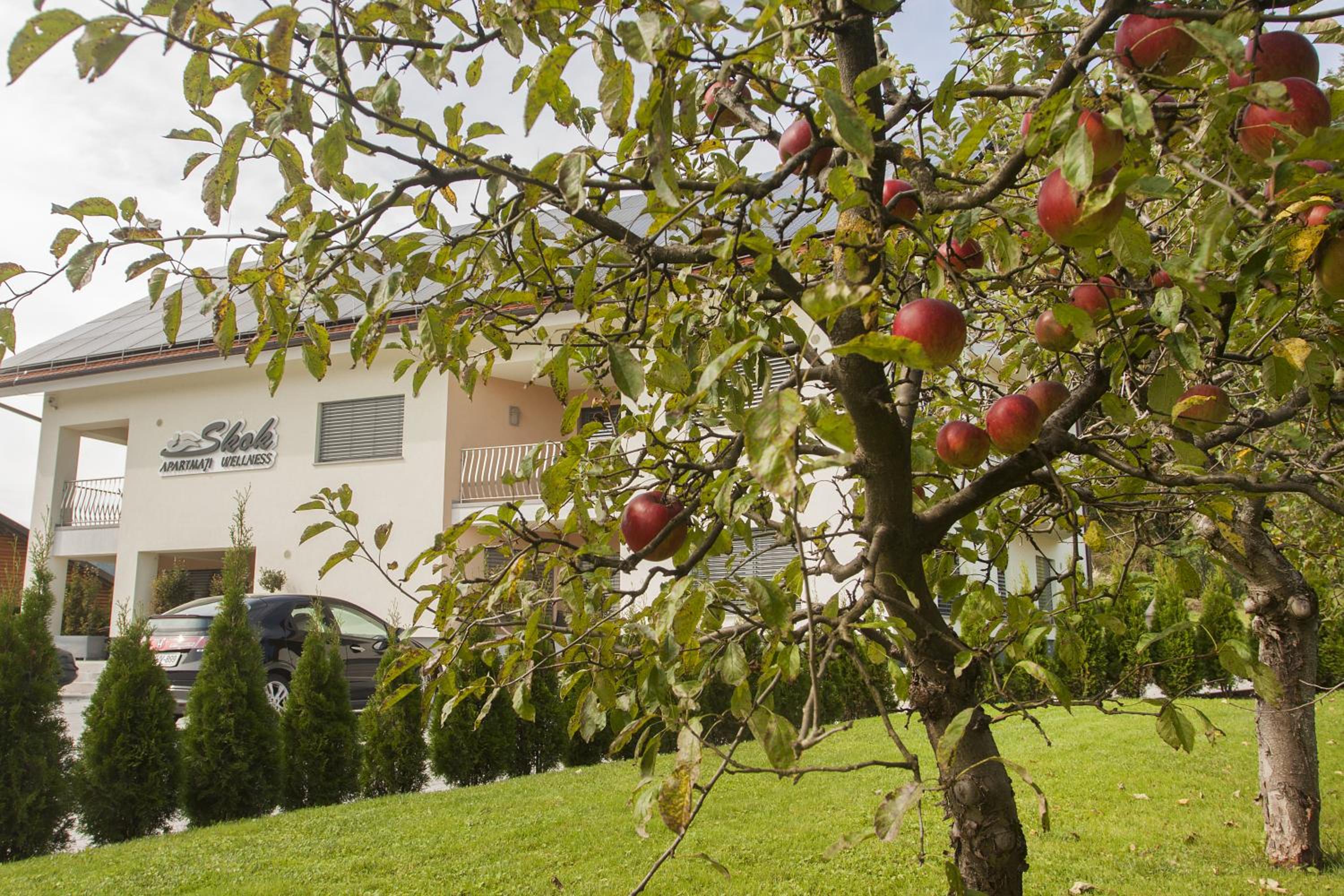 Apartments & Wellness Skok