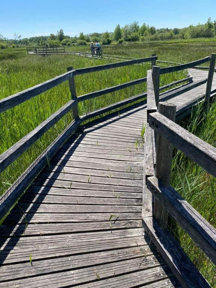 Photo 31