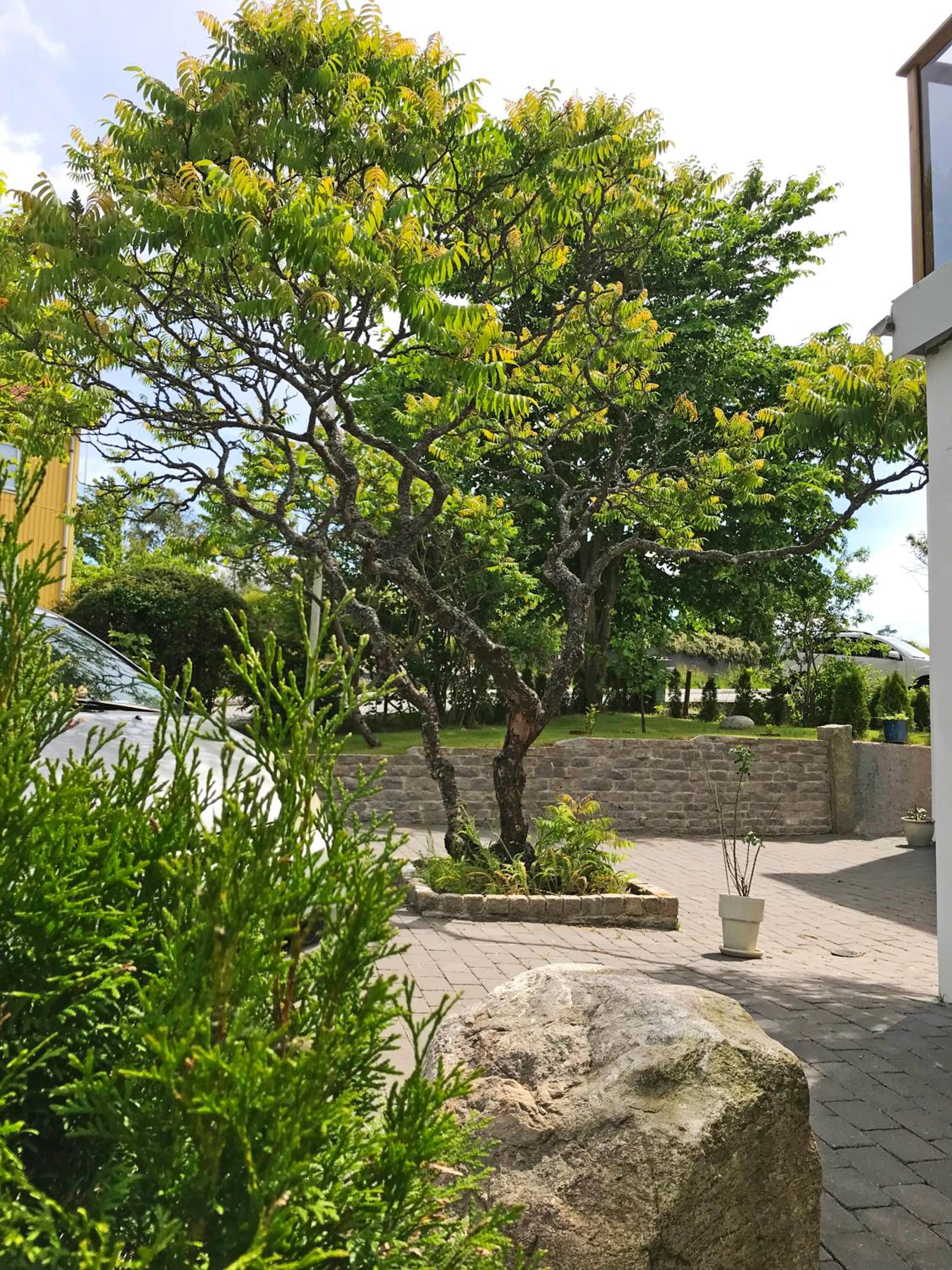 Photo 19
