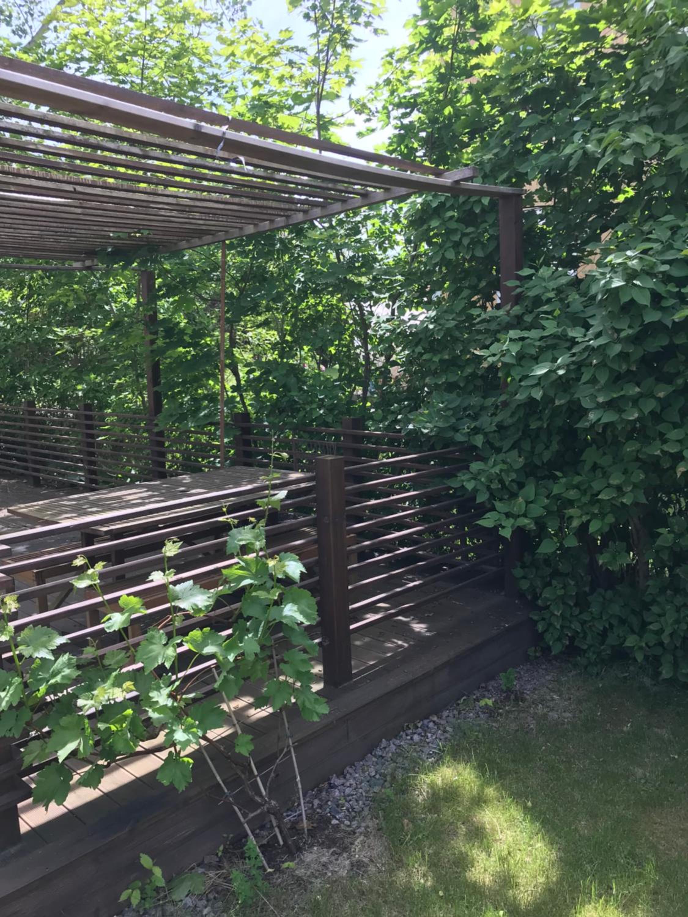 Photo 15