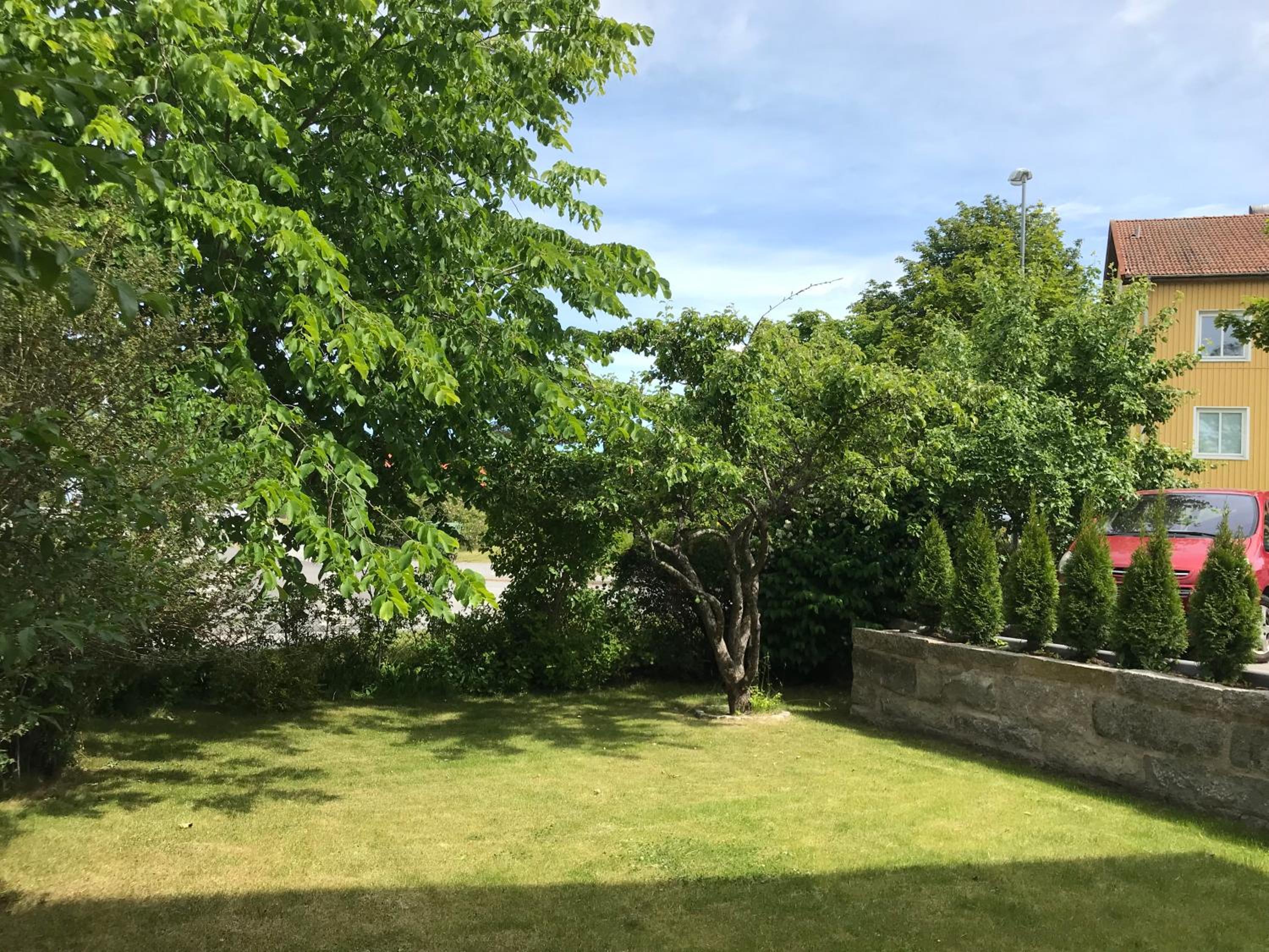 Photo 17