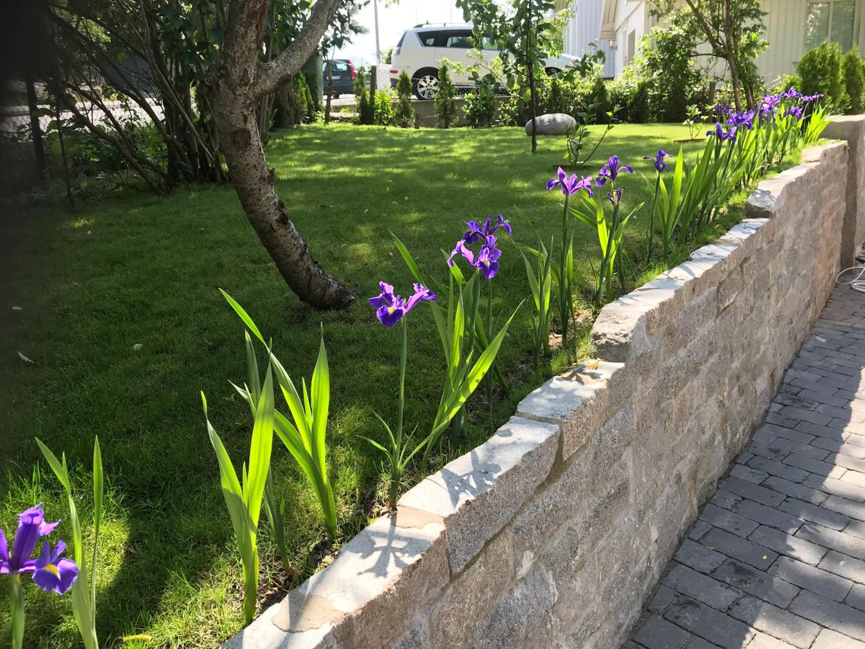 Photo 21